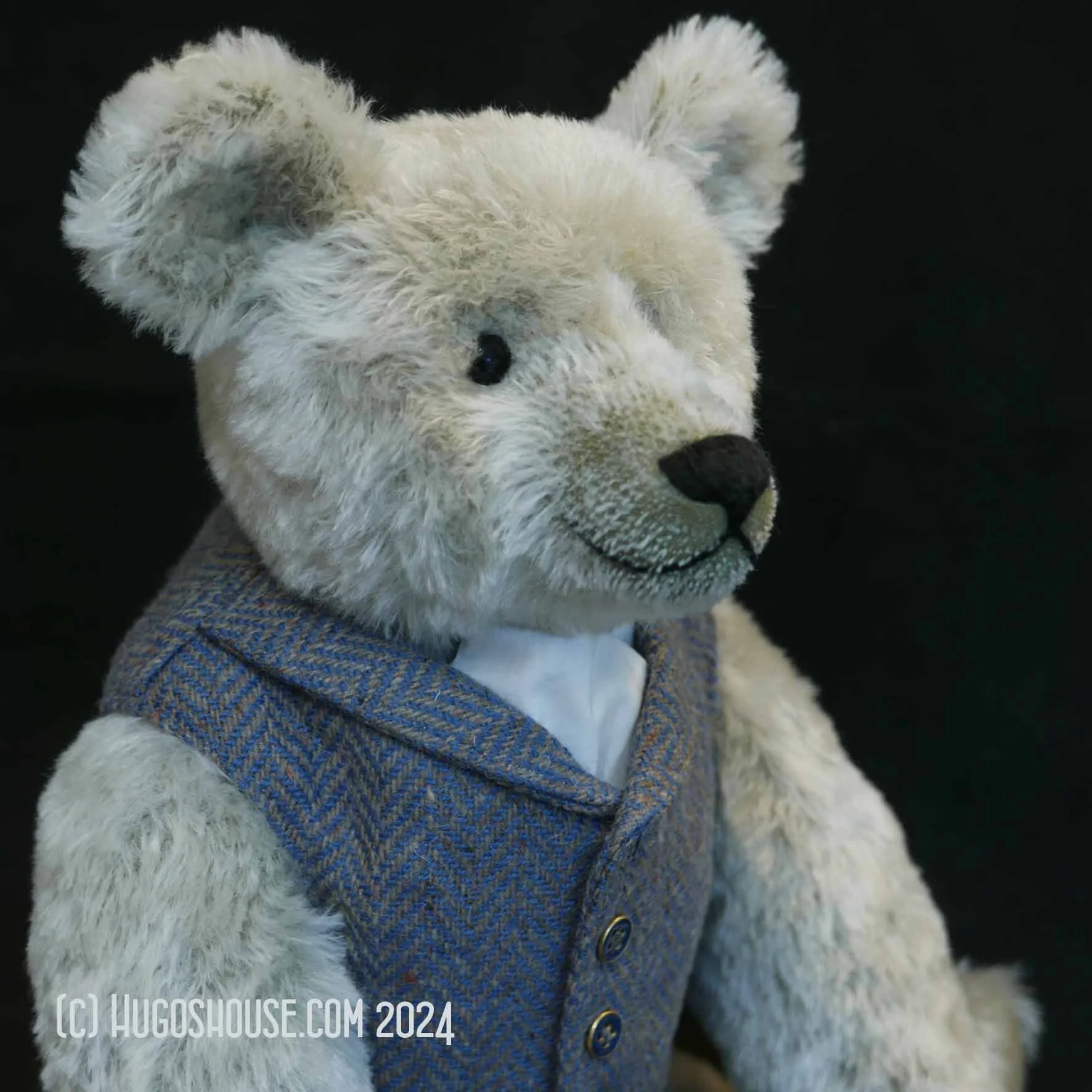 Louis - Classic Bear - 2024