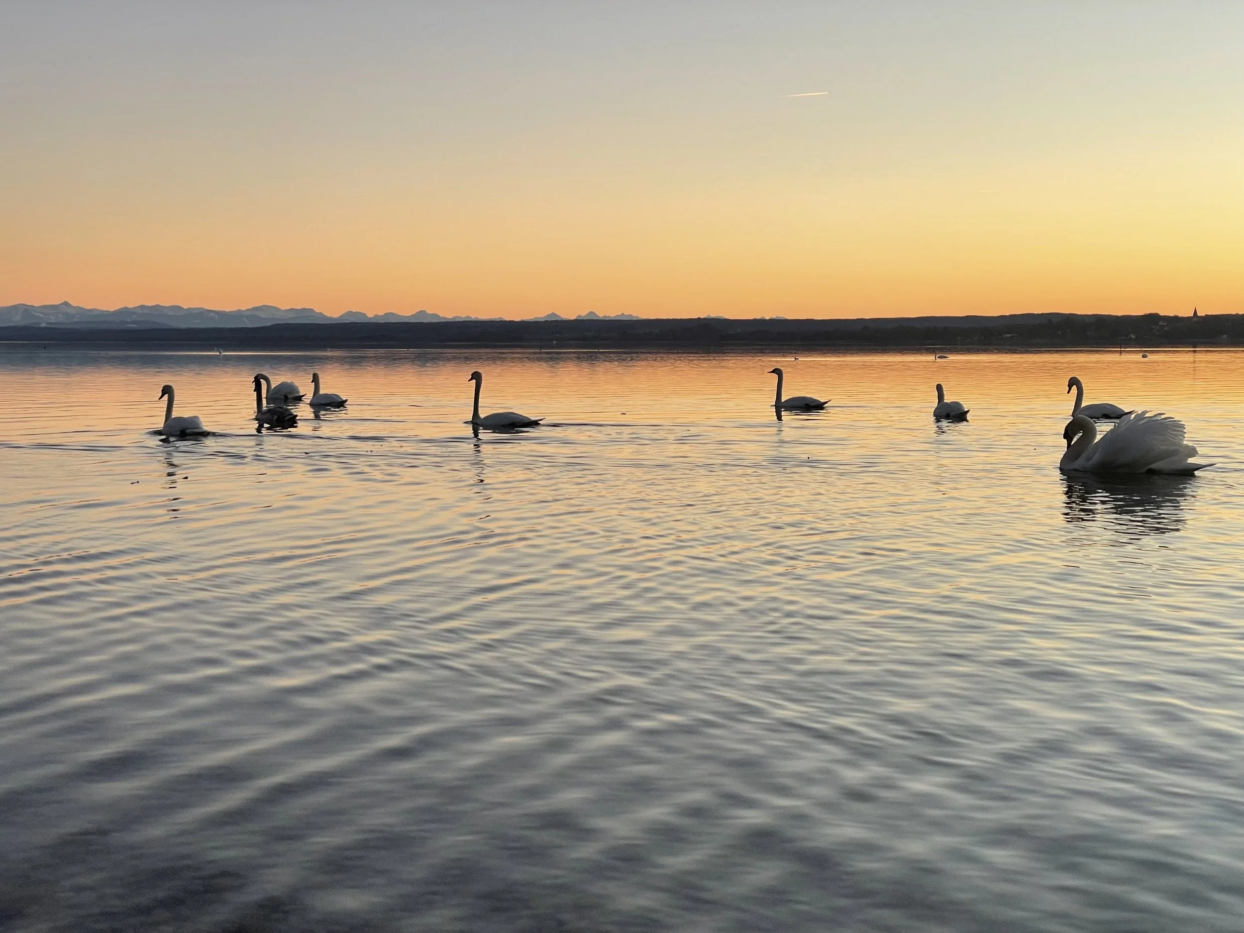 Ammersee