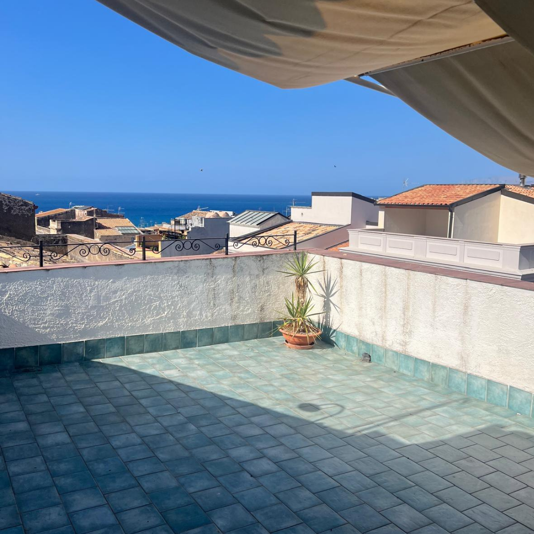 Terraza con planta, vista a los techos y al mar en el fondo bajo cielo despejado.