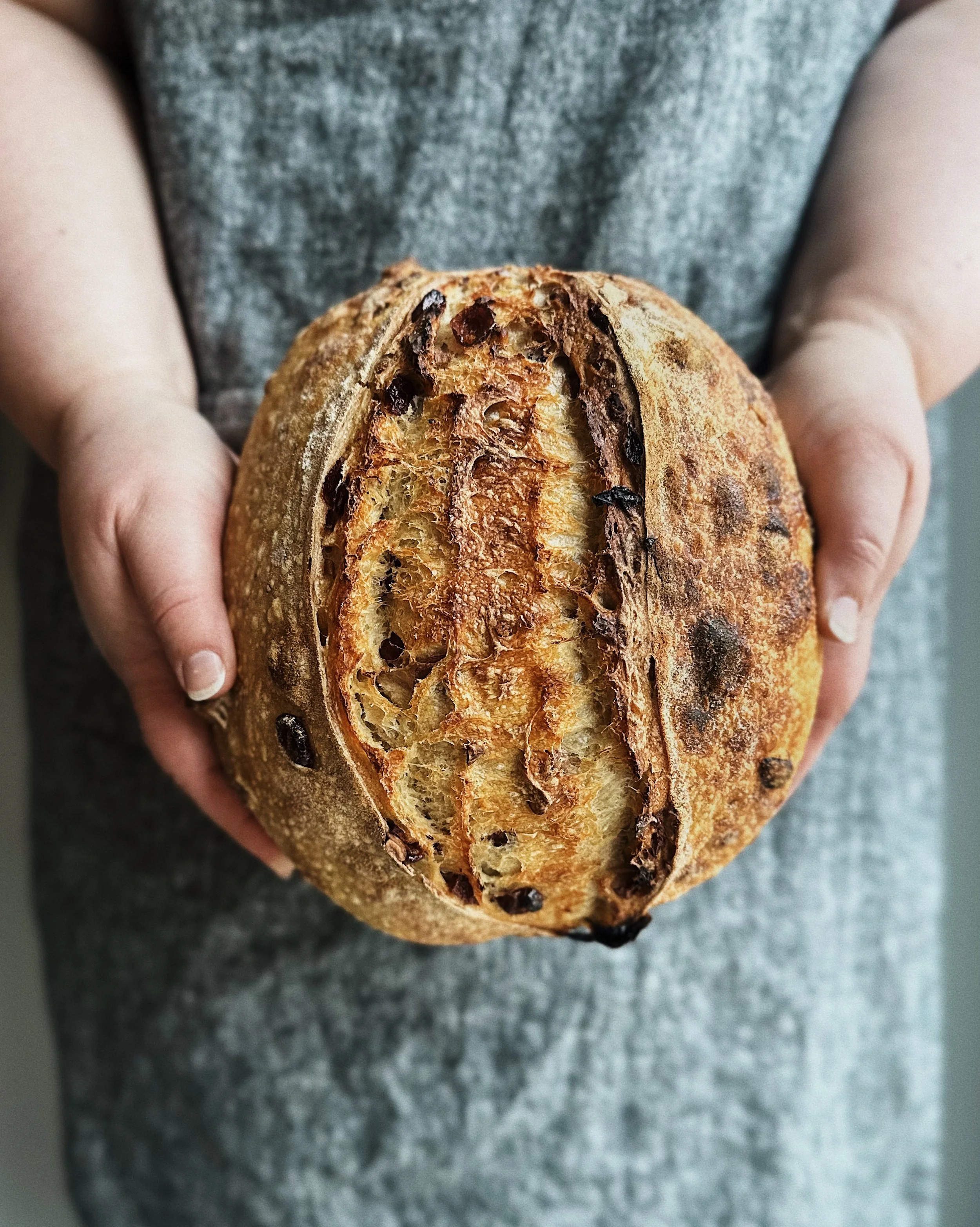 A person holding a halved loaf of bread with chocolate chips inside.