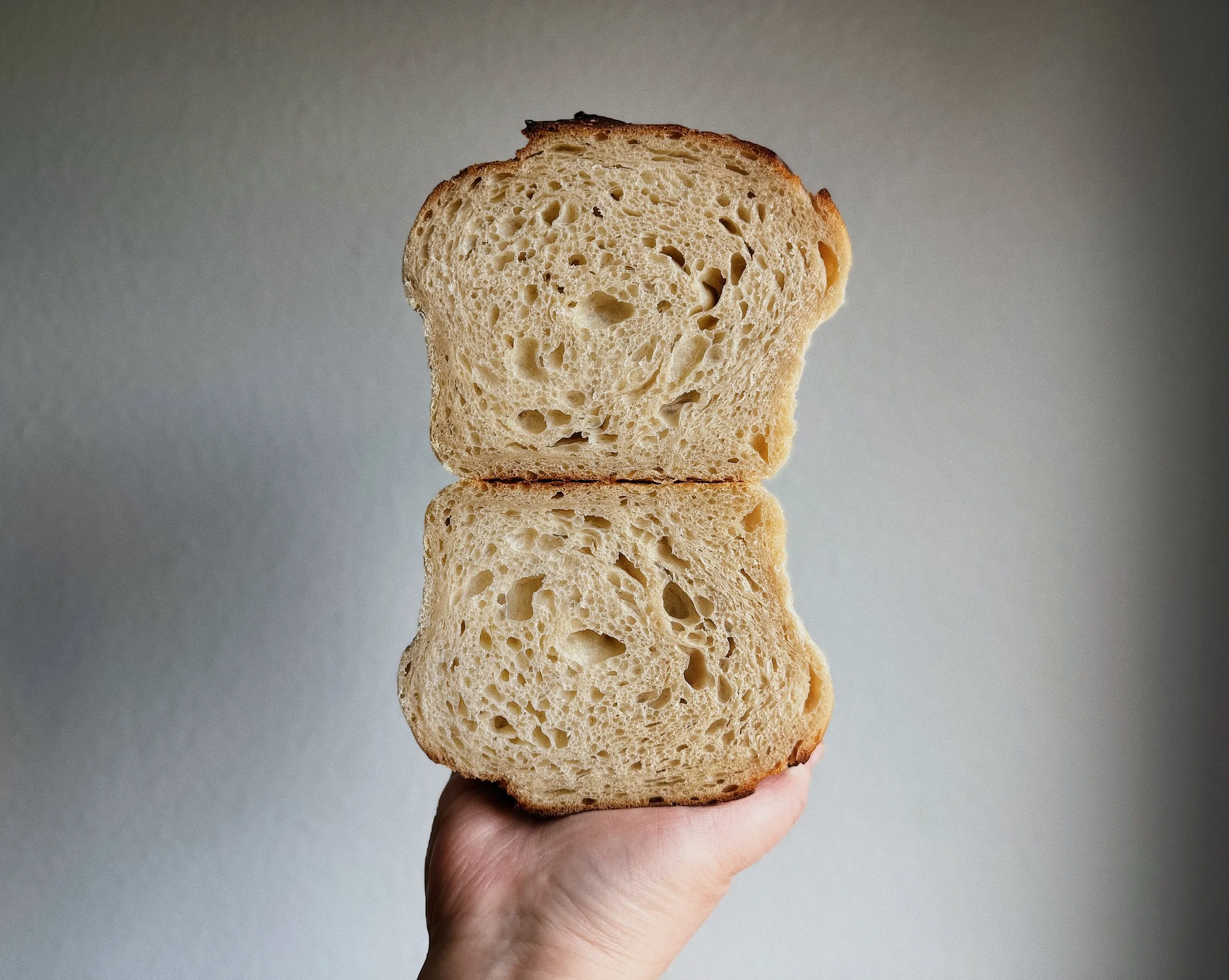 Soft Sandwich Sourdough Loaf_1.JPG