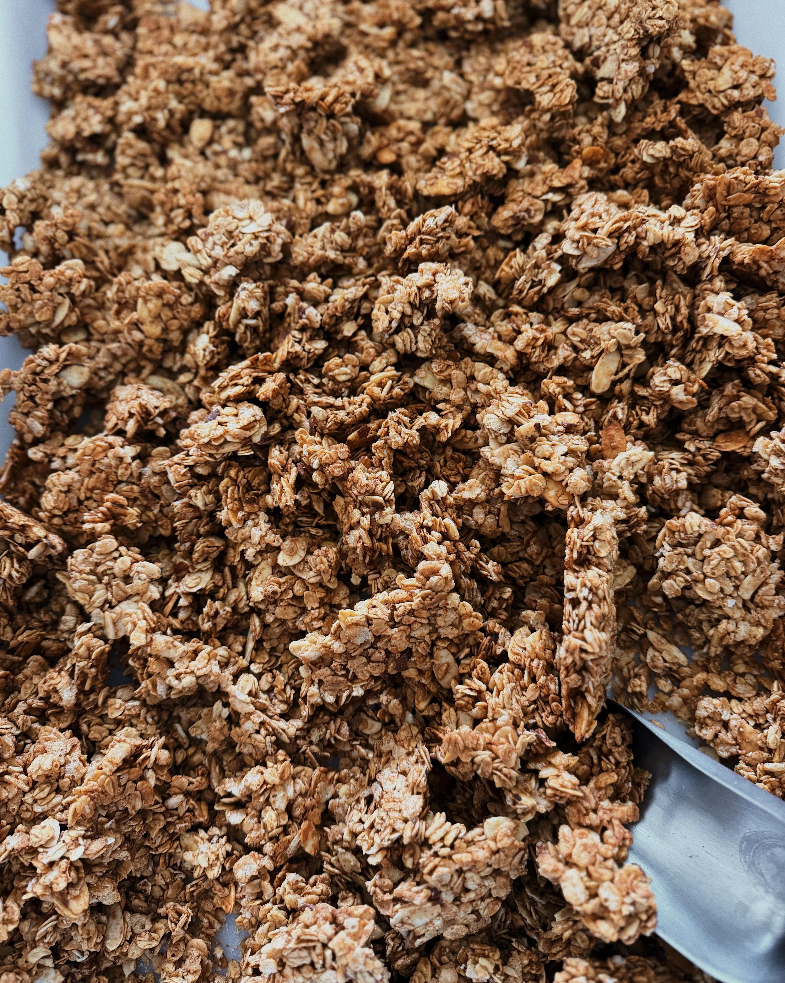 Cookie Butter Sourdough Granola