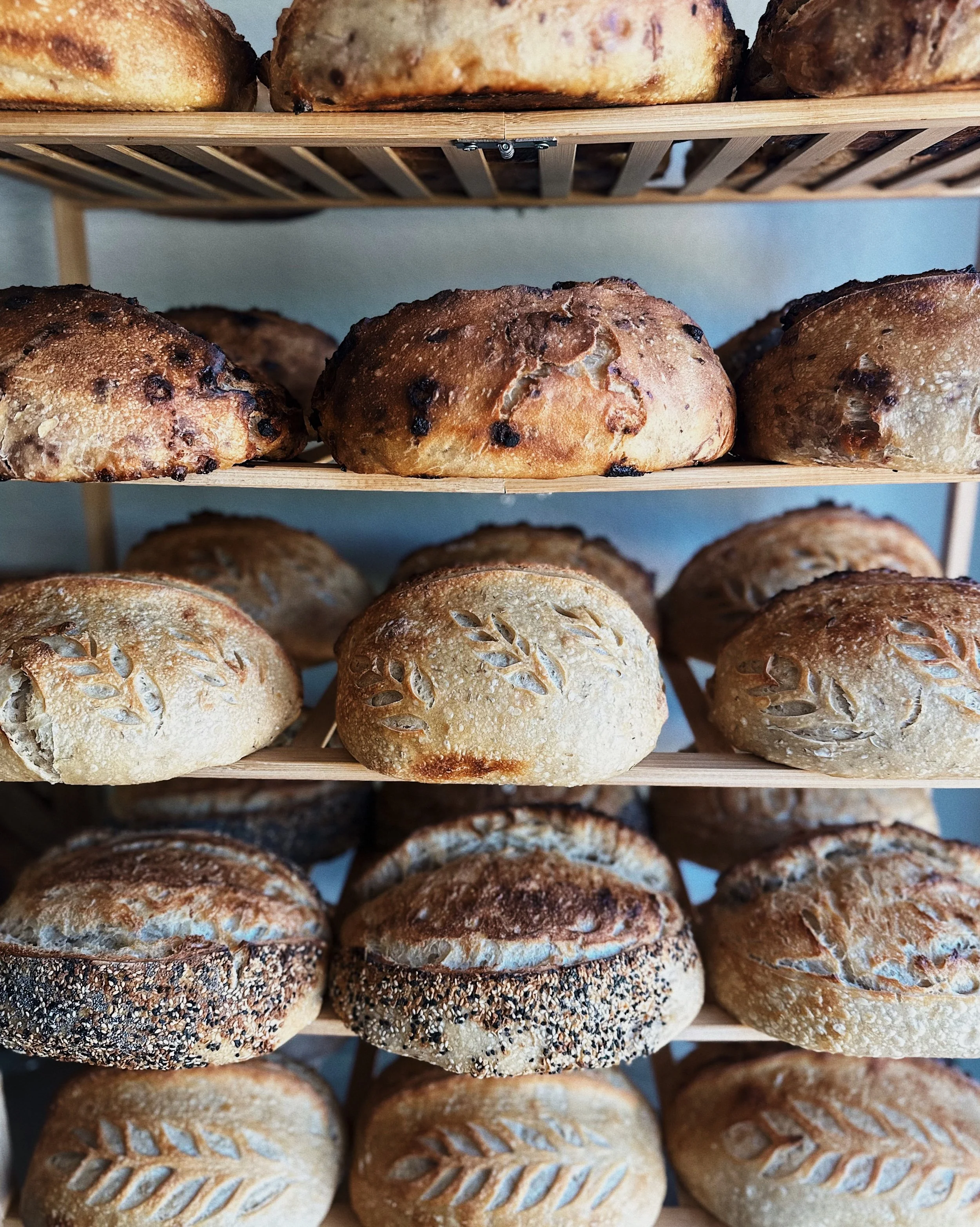 A display of assorted freshly baked bread rolls arranged on a wooden rack.