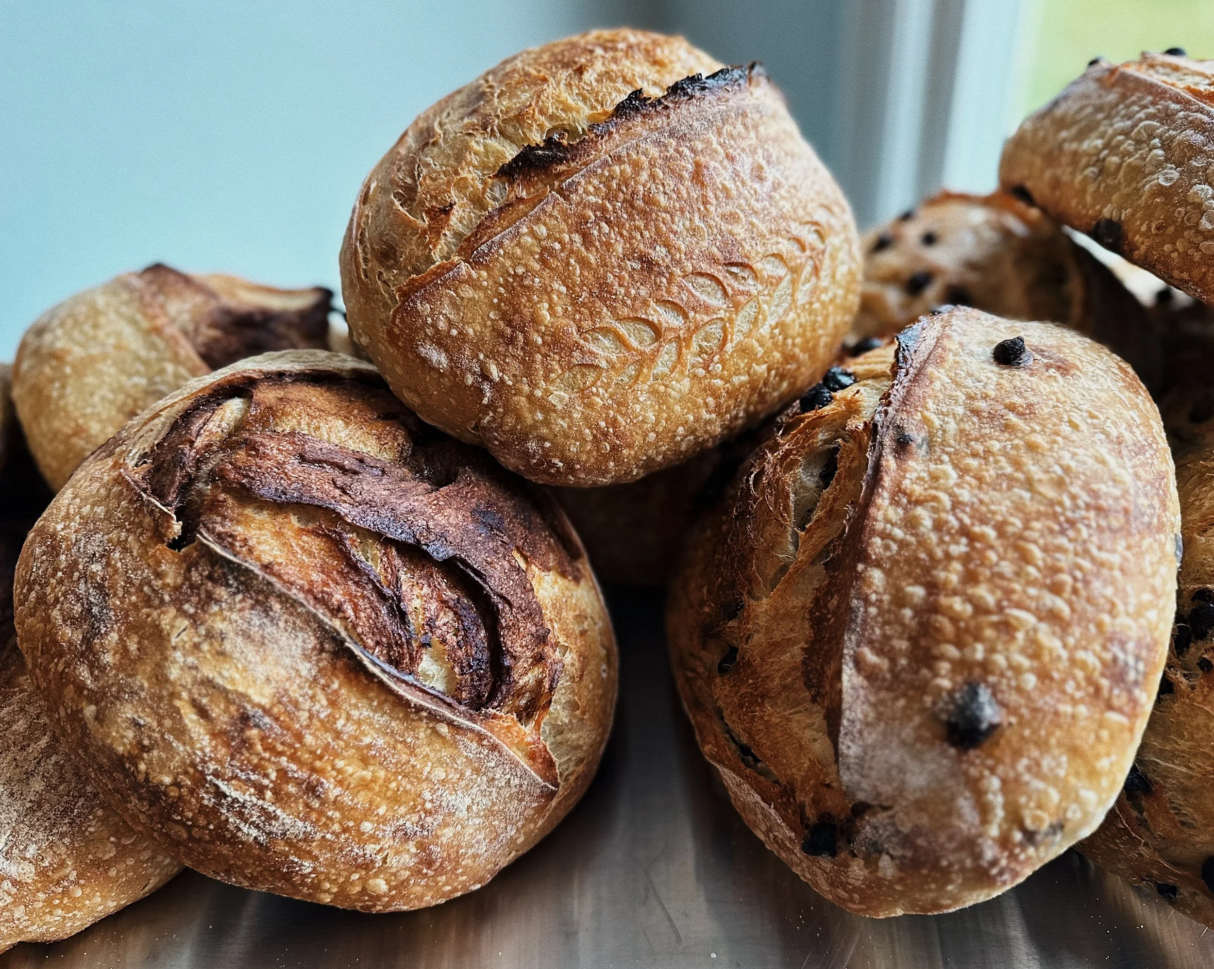 Close-up of freshly baked bread rolls with a dusting of flour and some with chocolate chips, stacked on a metal surface.
