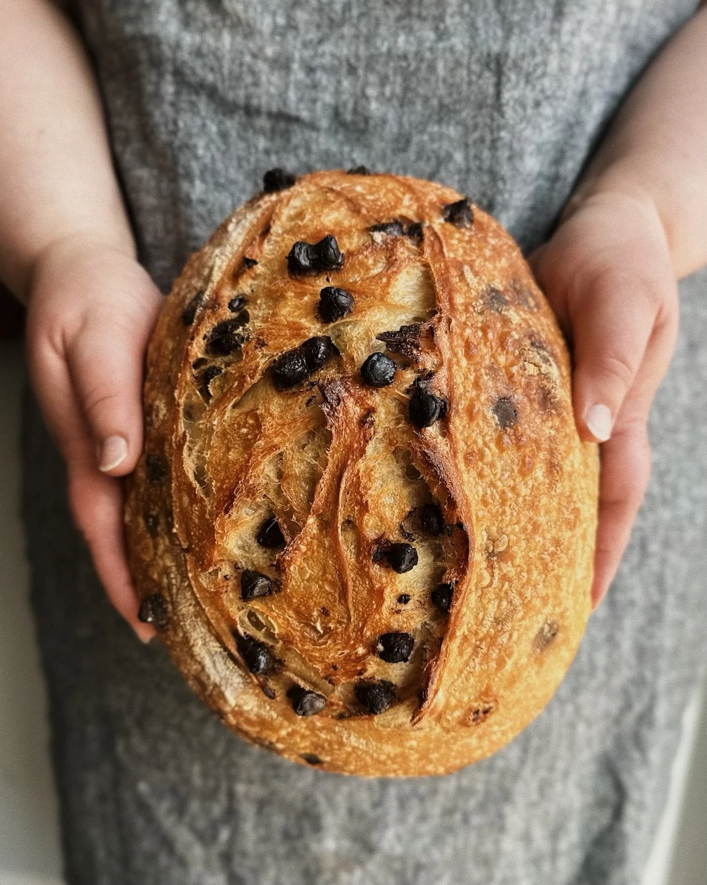 Choc Chip Sourdough Loaf_4.jpeg