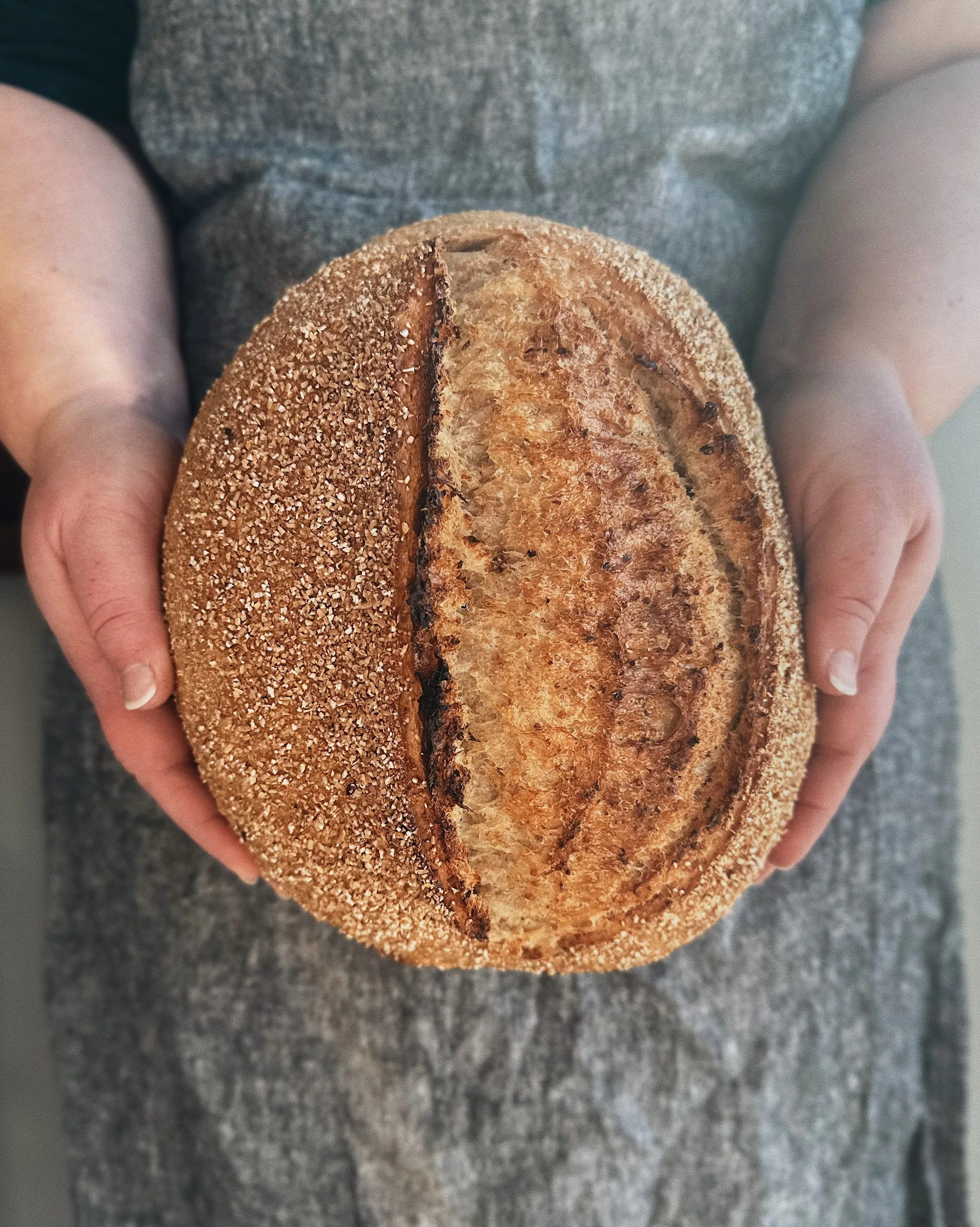 Multigrain Sourdough Loaf_6.JPG