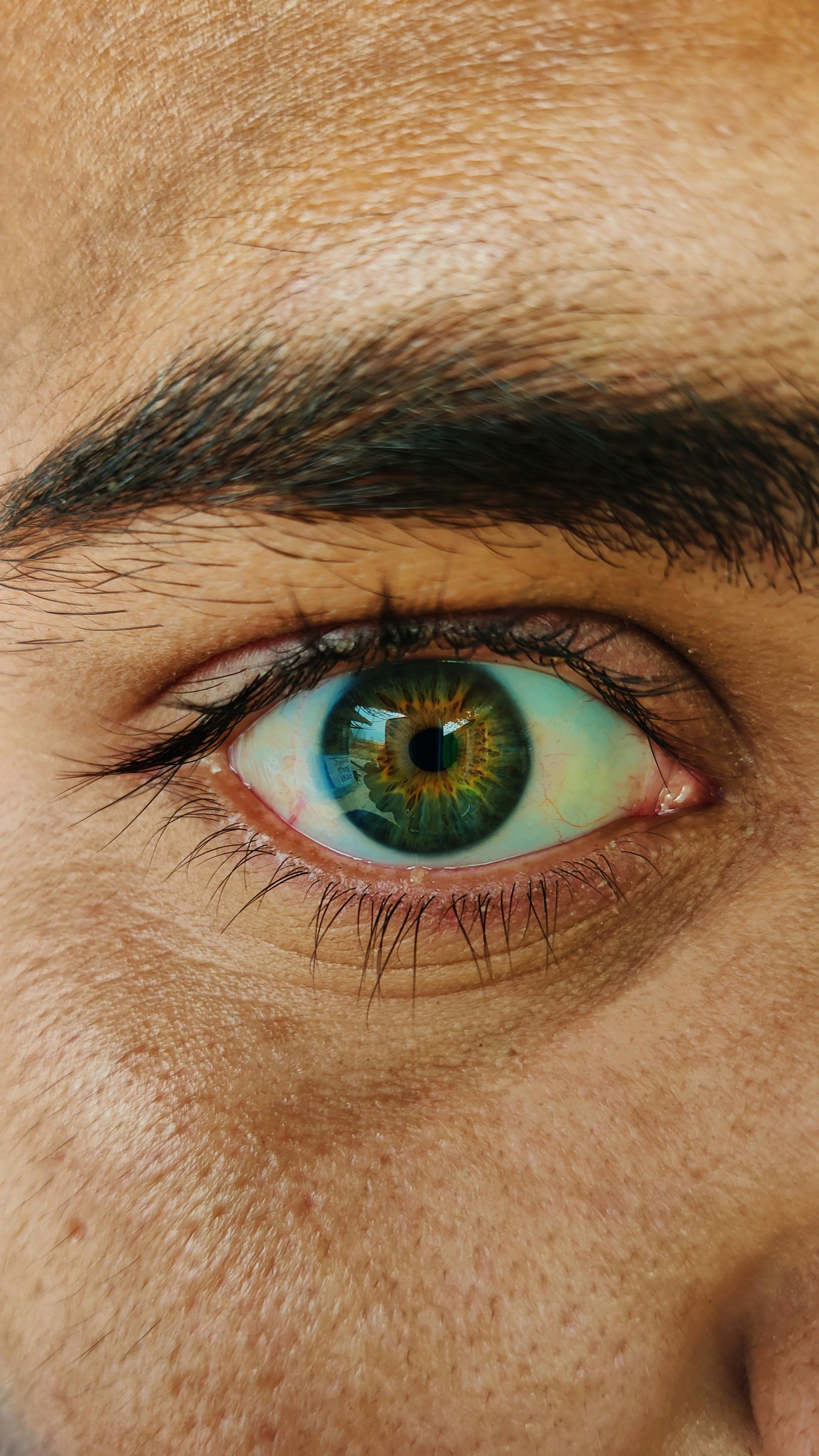 Nahaufnahme eines menschlichen Auges mit grün-brauner Iris, umgeben von brauner Haut, Wimpern und Braue.