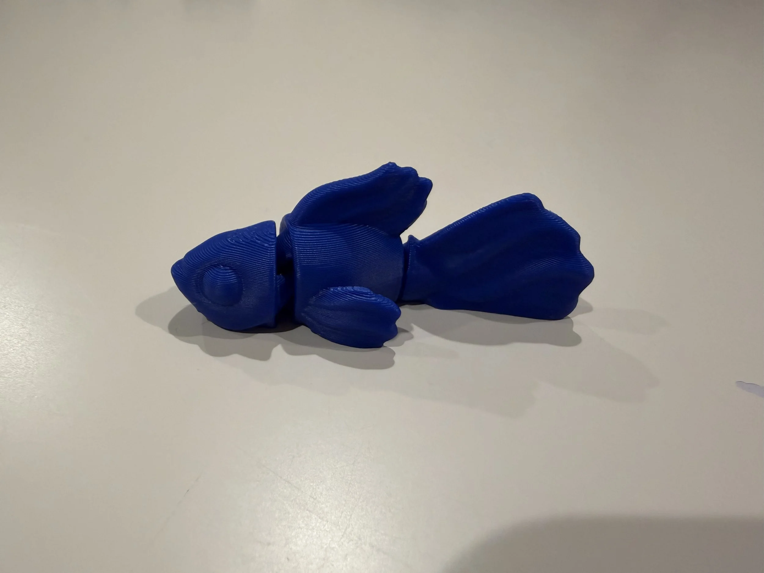 THE FISH