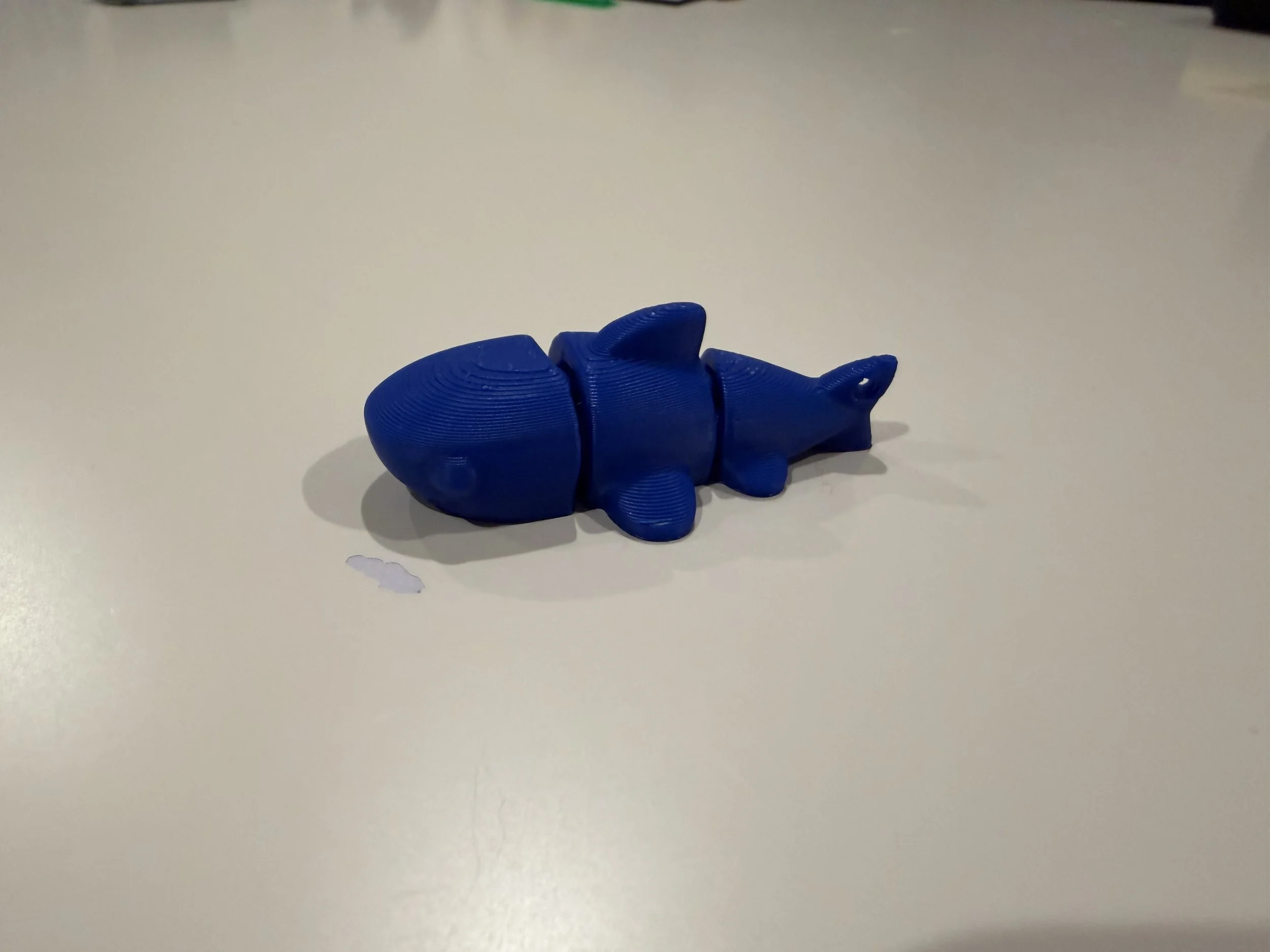 THE SHARK
