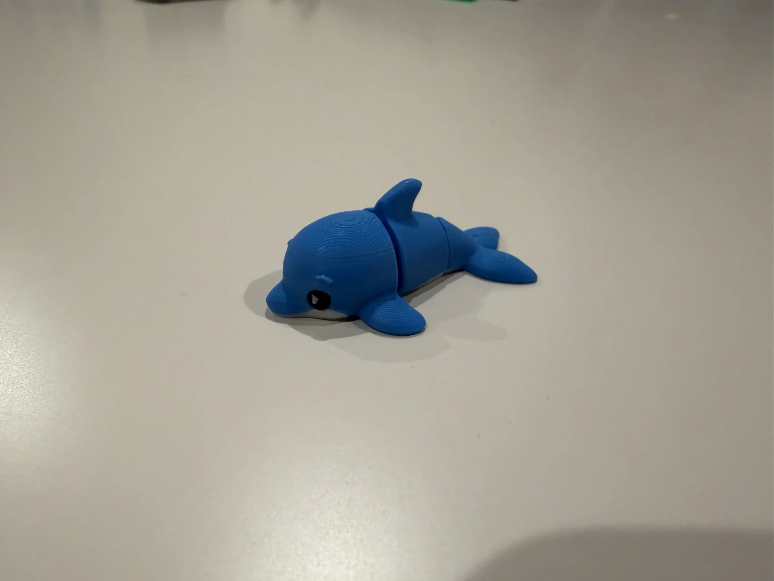 THE DOLPHIN