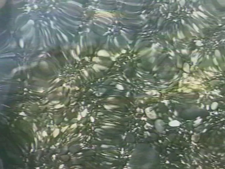 WEDDING v1.00_00_10_16.Still001.jpg