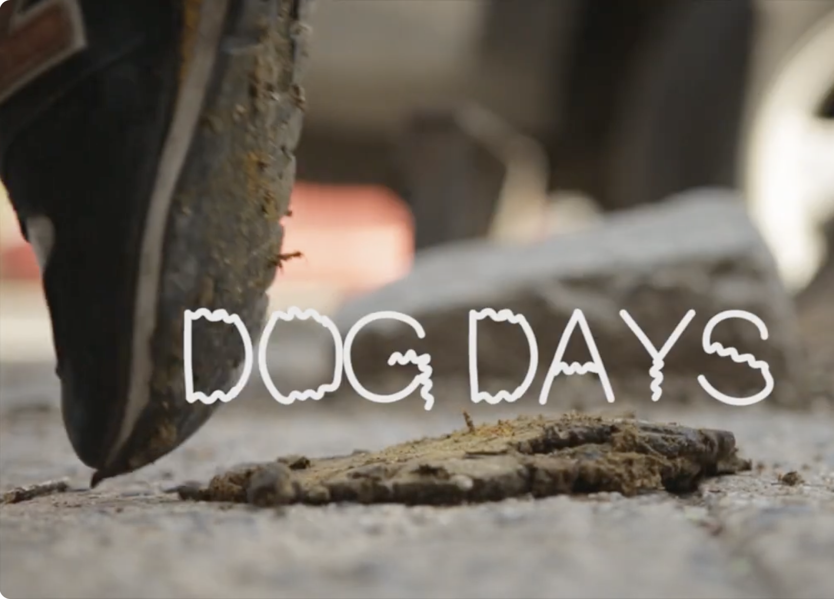 DOG DAYS