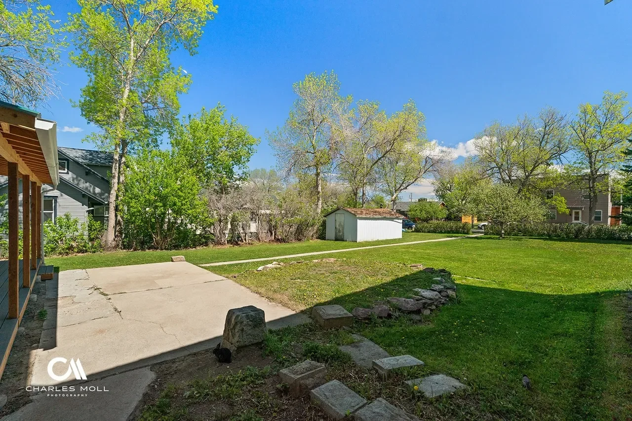 A backyard with a concrete patio, green grass, trees with fresh leaves, a small white shed, and a clear blue sky.