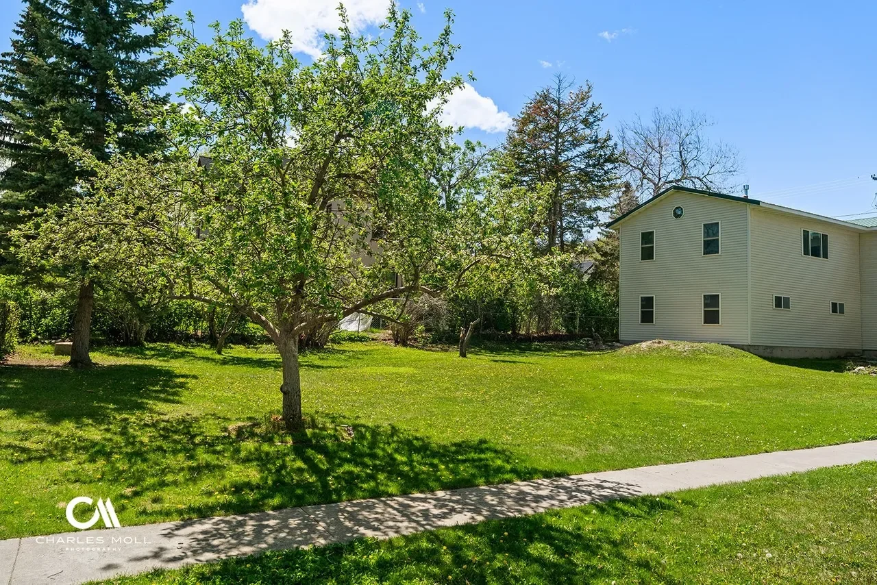 A suburban backyard with a large tree, green grass, and a sidewalk in front of a white house with multiple windows. There are other trees and a clear blue sky in the background.