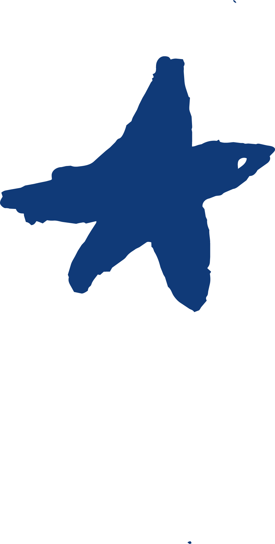 A blue star-shaped figure with uneven edges is displayed against a white background.