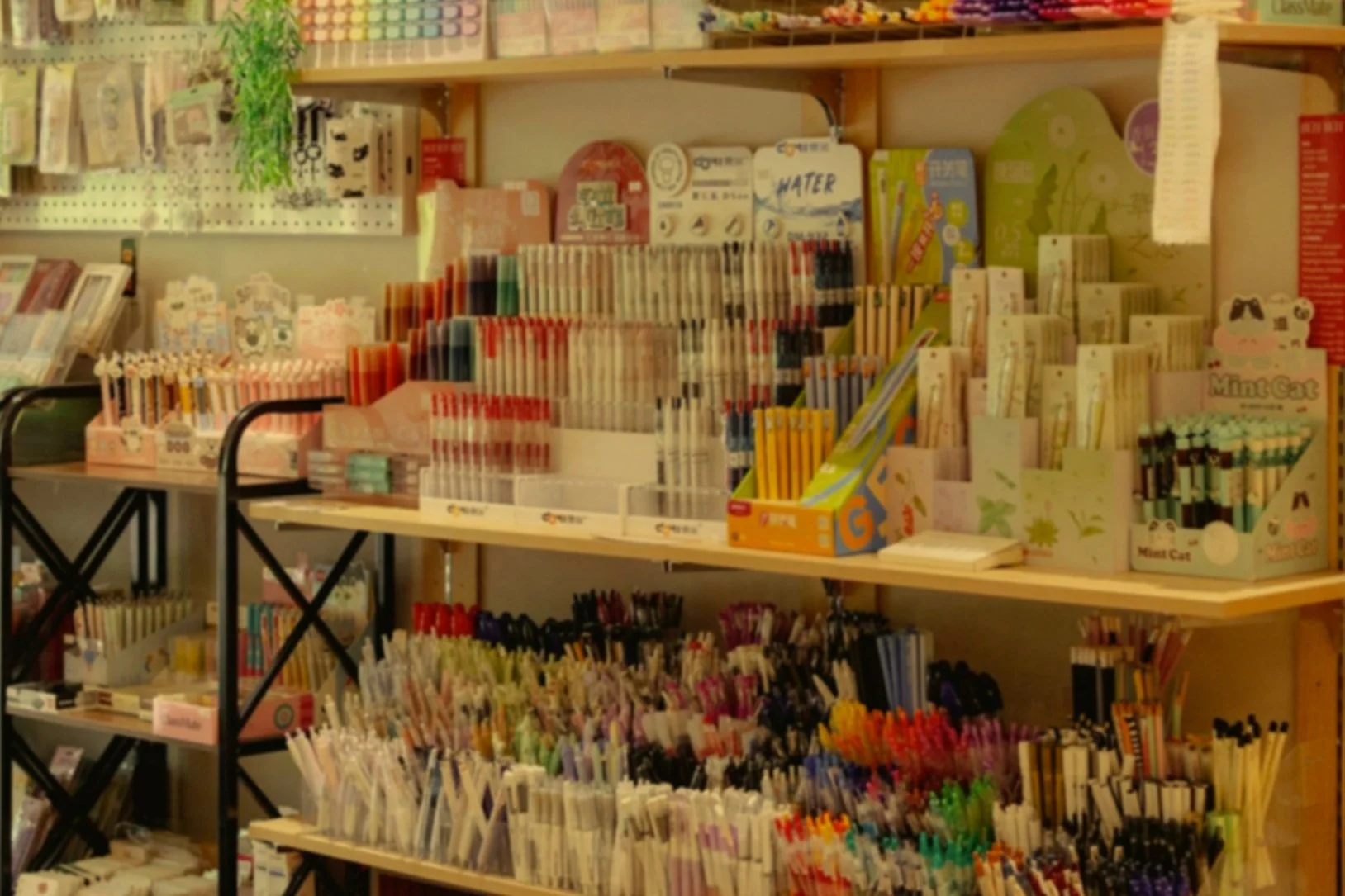 A store shelf displaying various pens, markers, and stationery supplies.