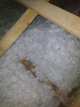 Concrete floor with a wooden frame and a small patch of rust or dirt.