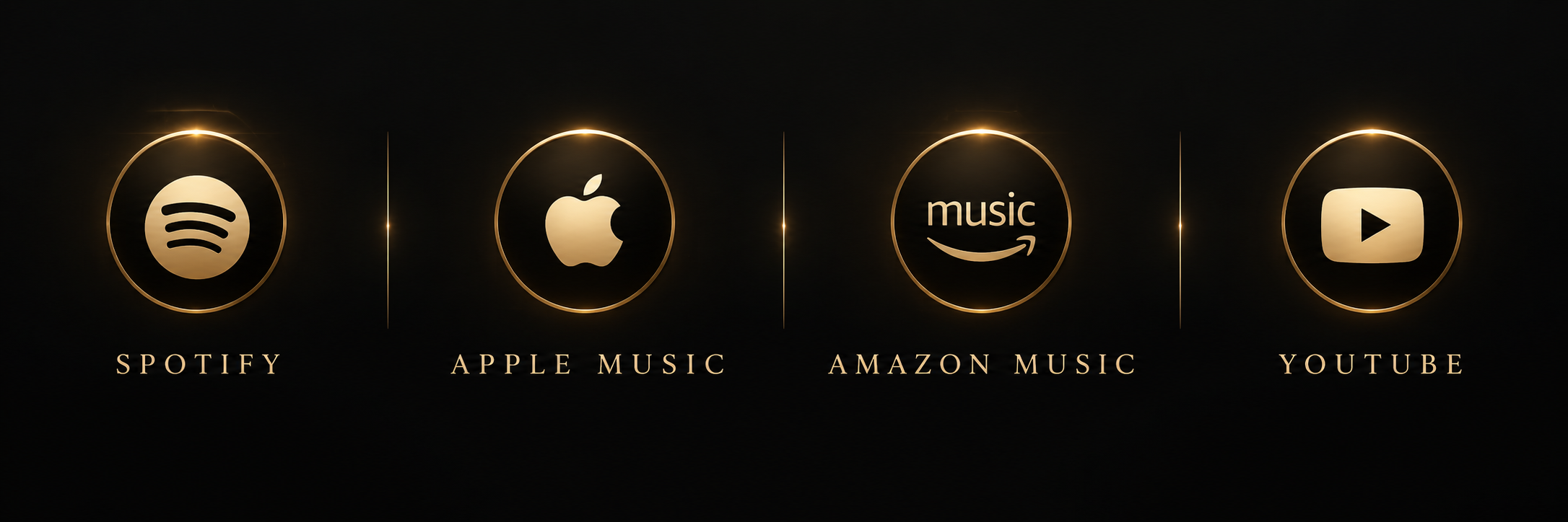 Icons for Spotify, Apple Music, Amazon Music, and YouTube with labels beneath each icon.