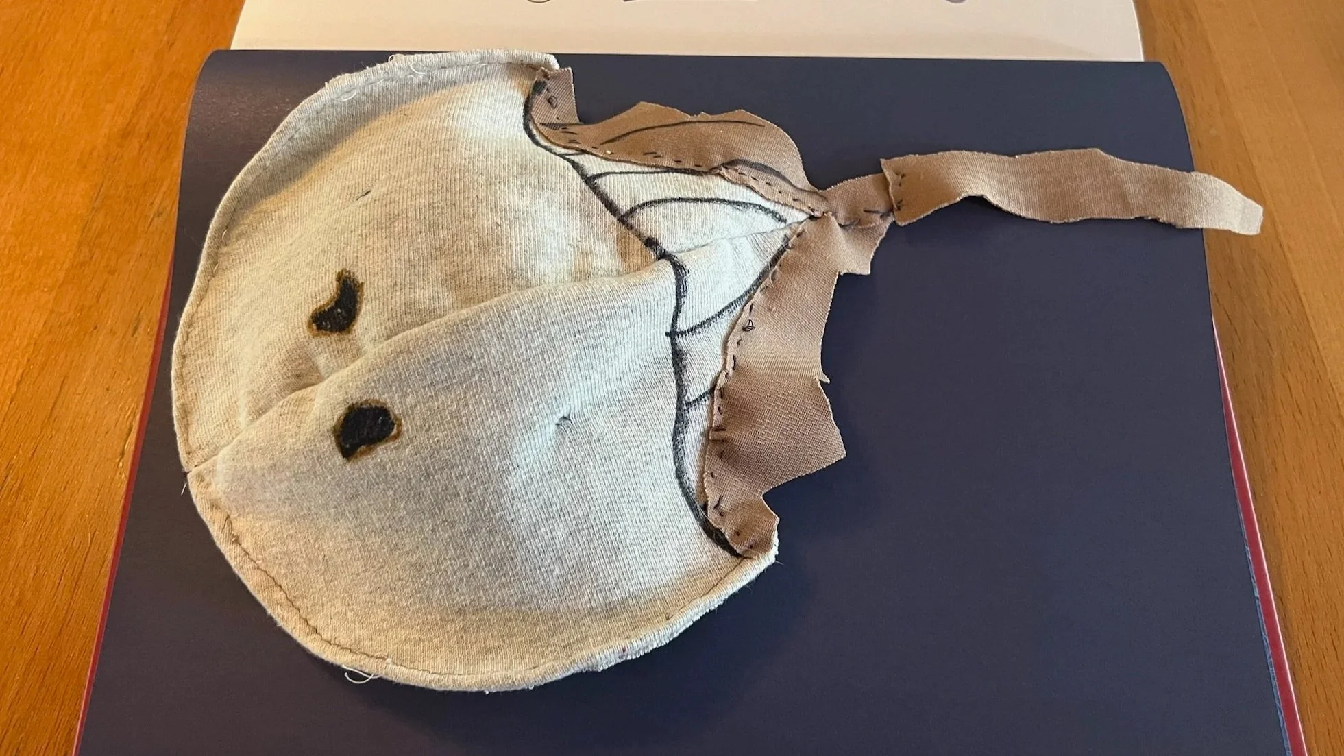 Horseshoe Crab