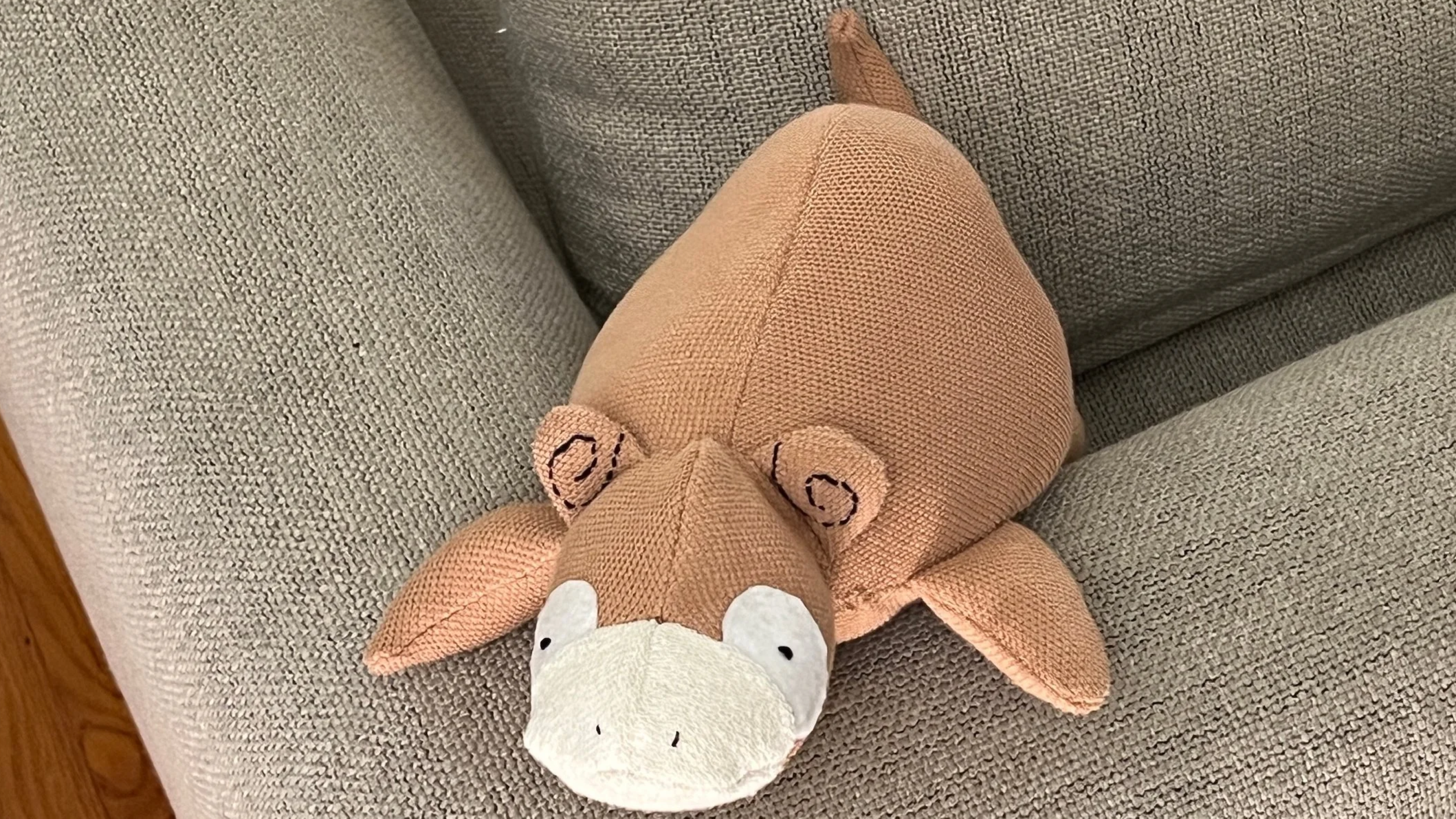 Slowpoke