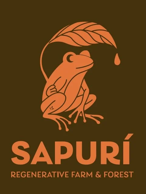 Sapuri