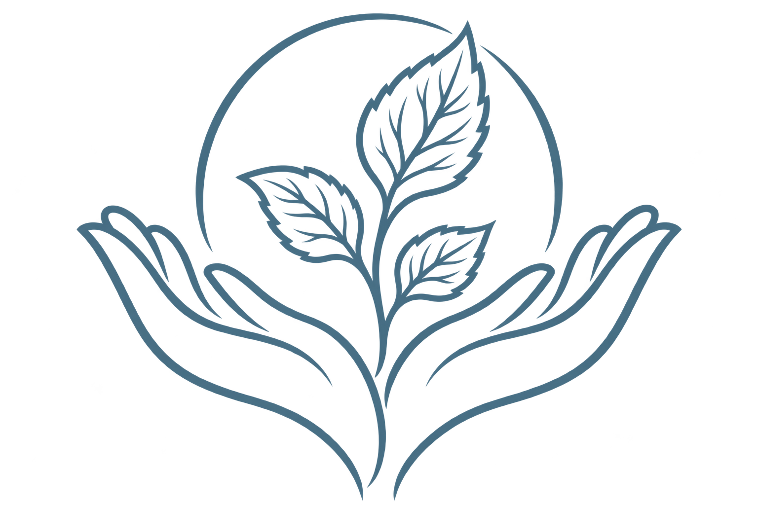 Illustration of hands holding new leaves representing renewal