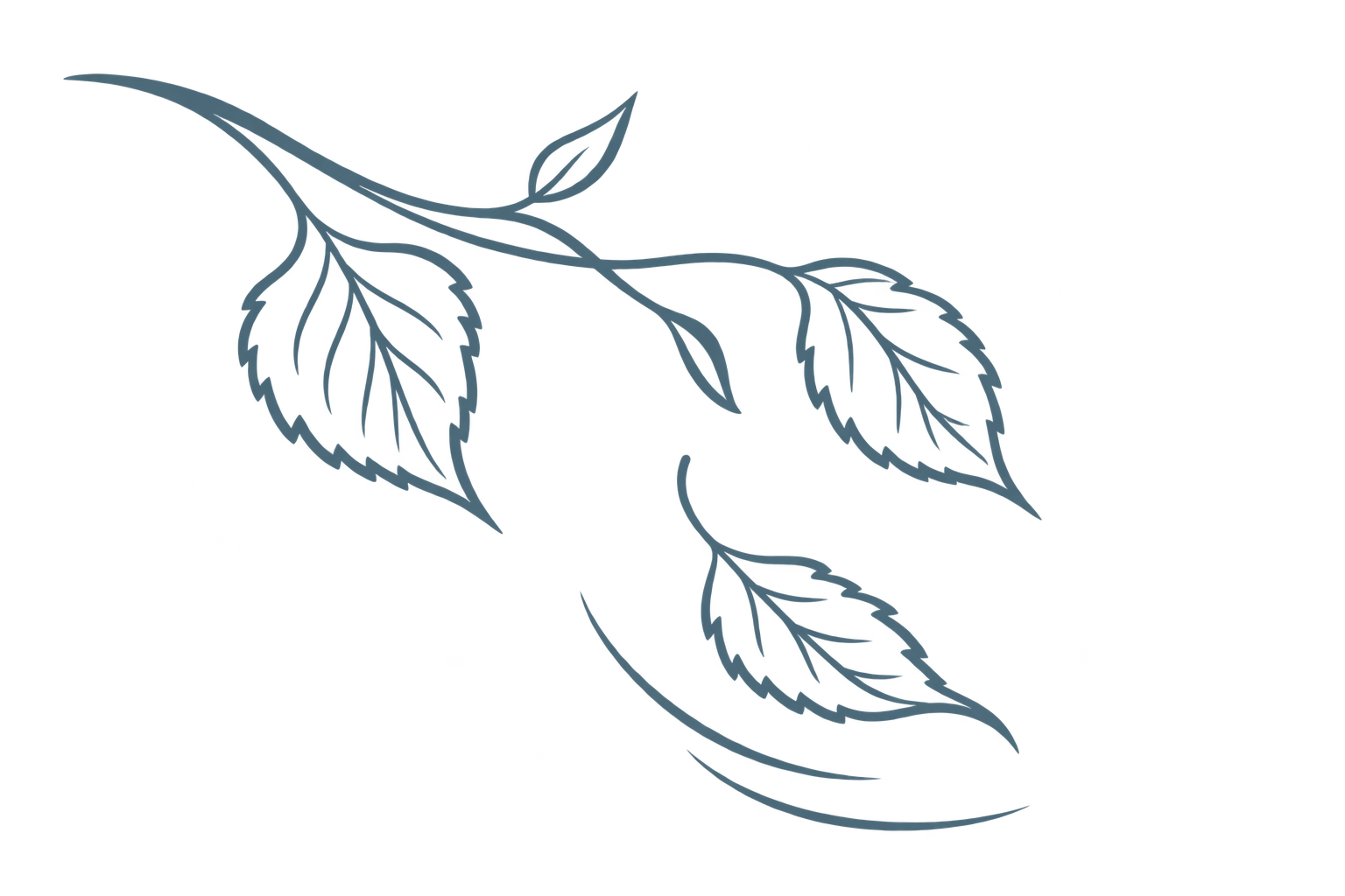 Illustration of falling leaves representing release