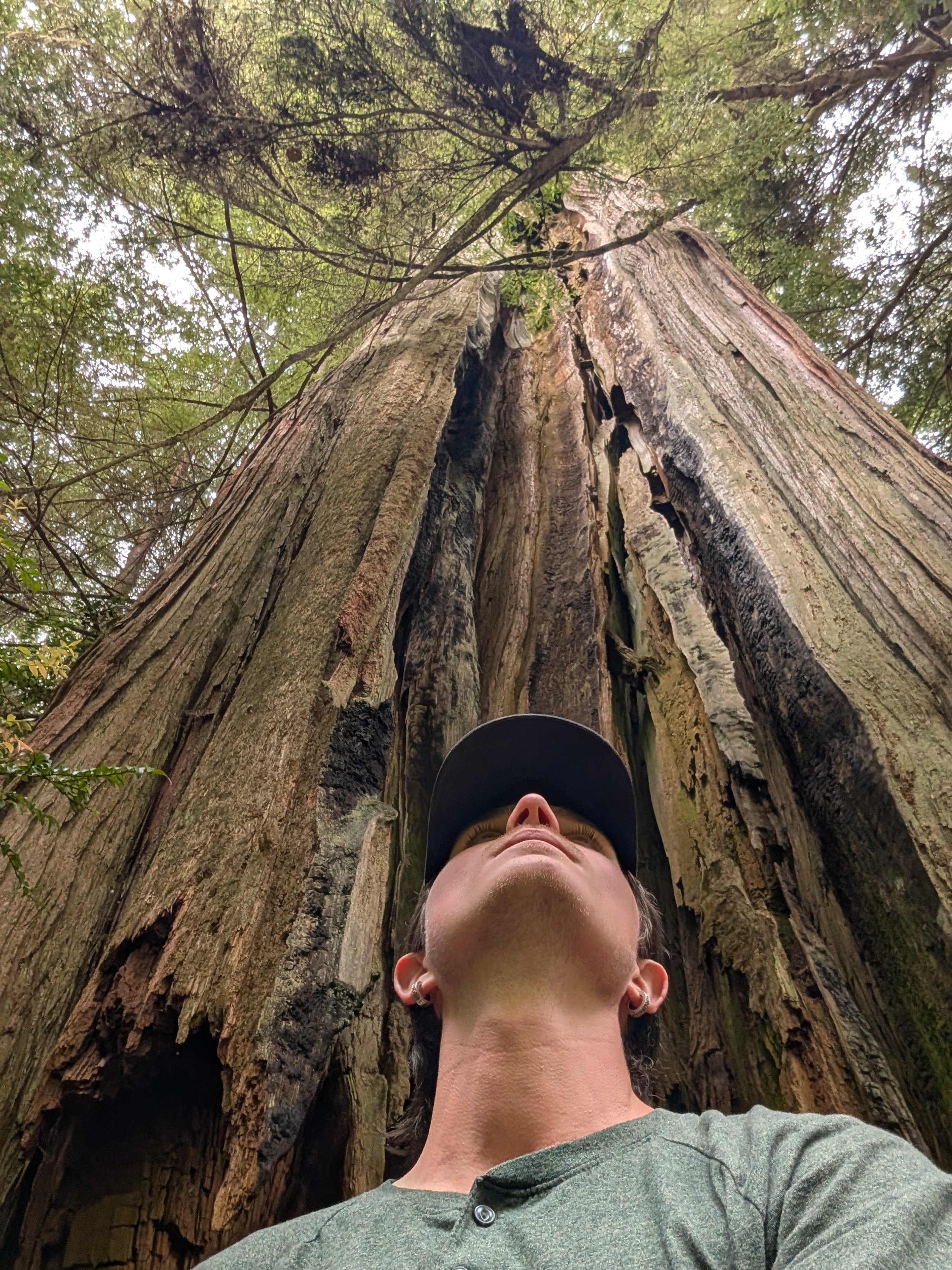 A person taking a photo of a tall redwood tree from below, with their face partly visible and wearing a cap and earrings.