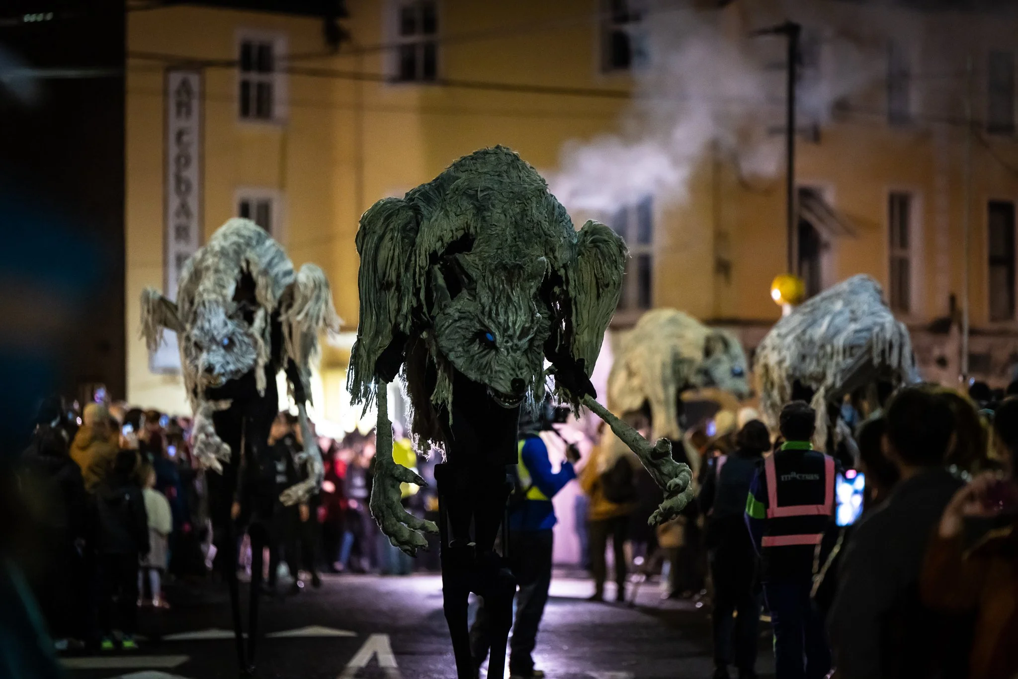 Macnas 23_photo Emilija Jefremova-048.jpg