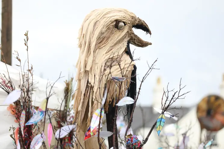 macnas 4.png