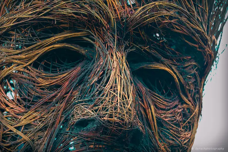 macnas 3.png
