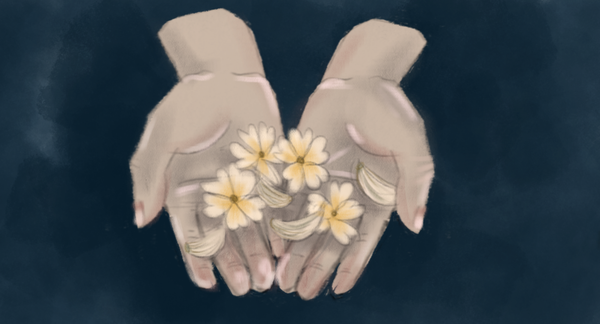 n12.png