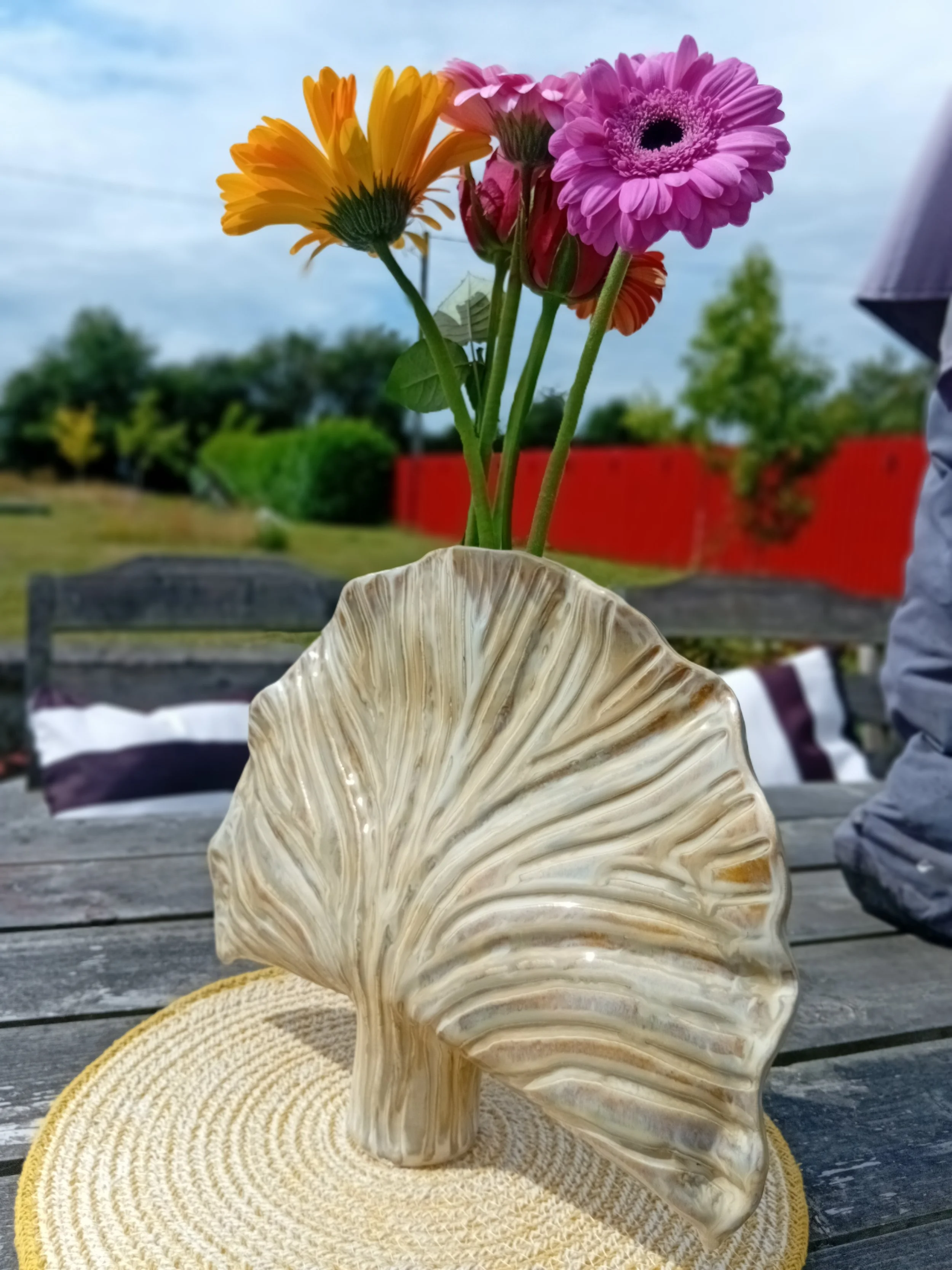 20260803_124334.jpg