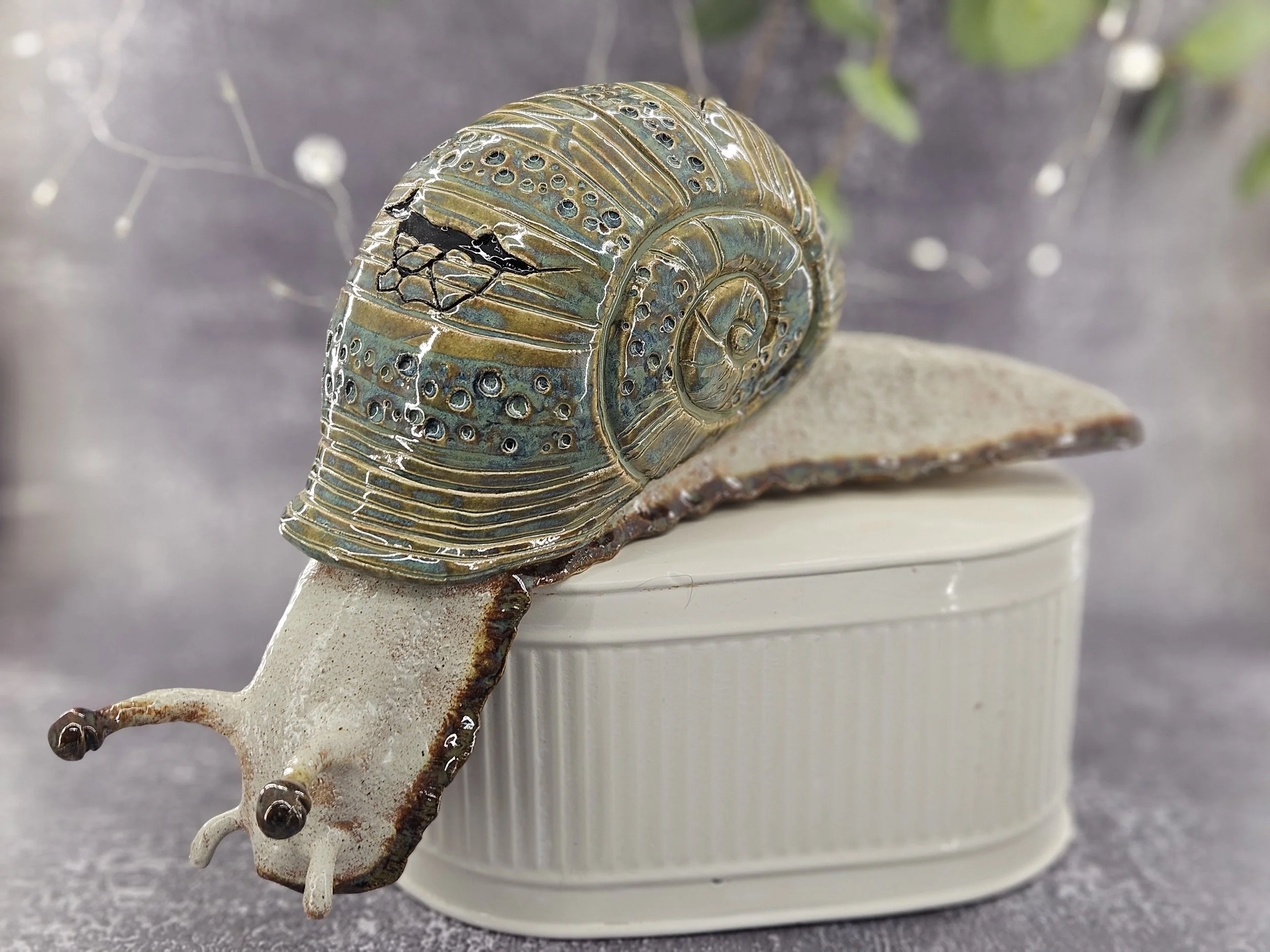 Large overhanging garden snail