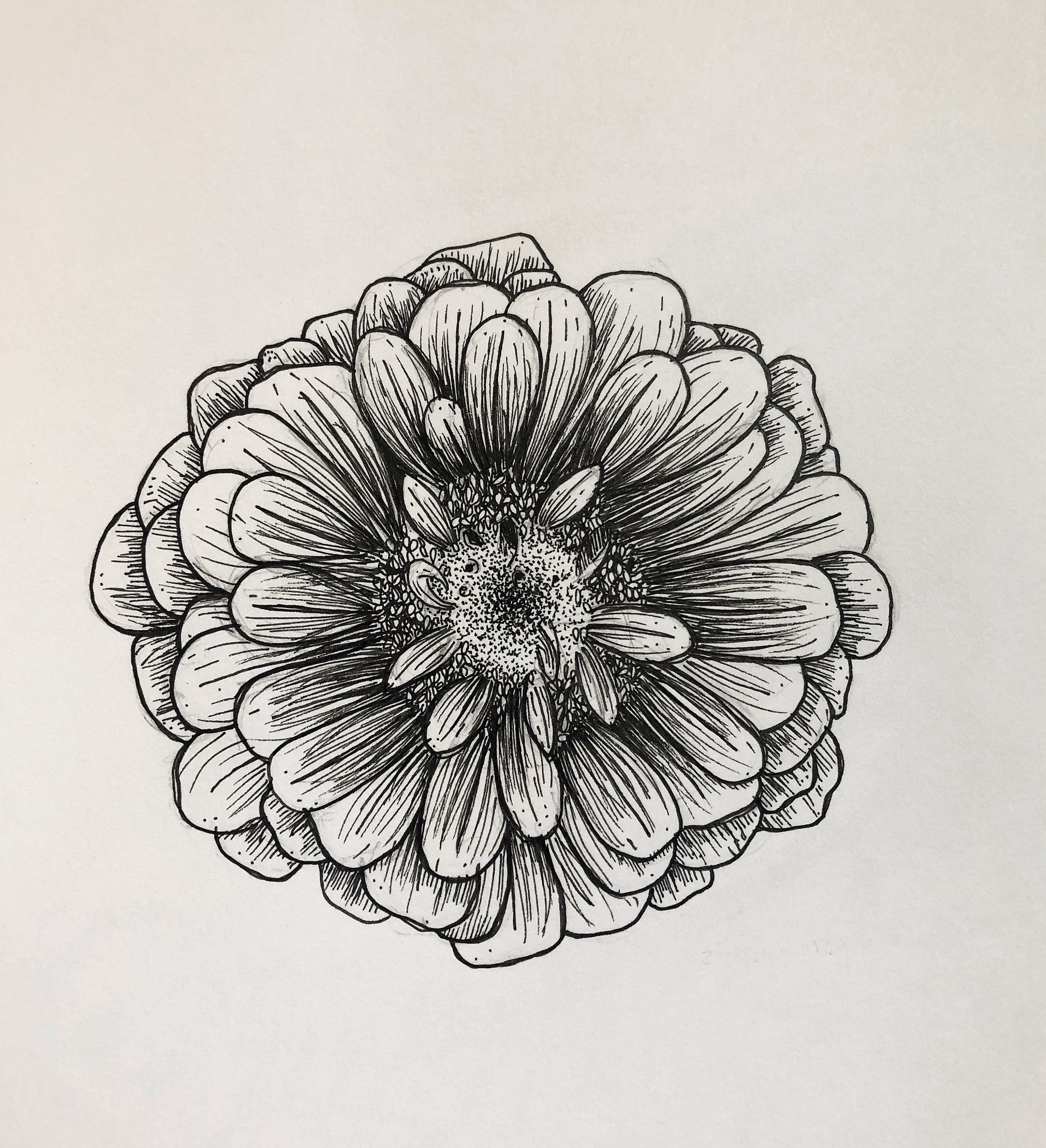 14FE1D3F-1D4E-478E-A112-E9364FBFD0C4.JPG