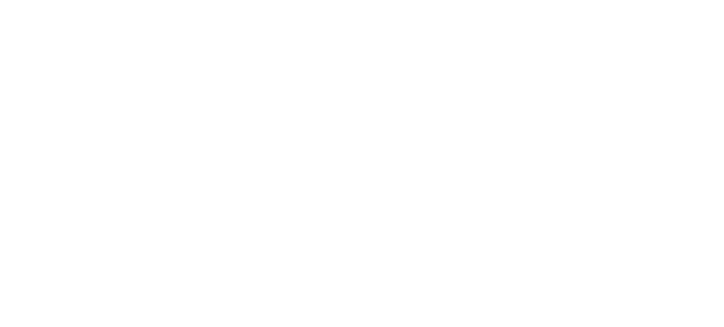 White cursive text on a black background reading 'Chic's Closet'.