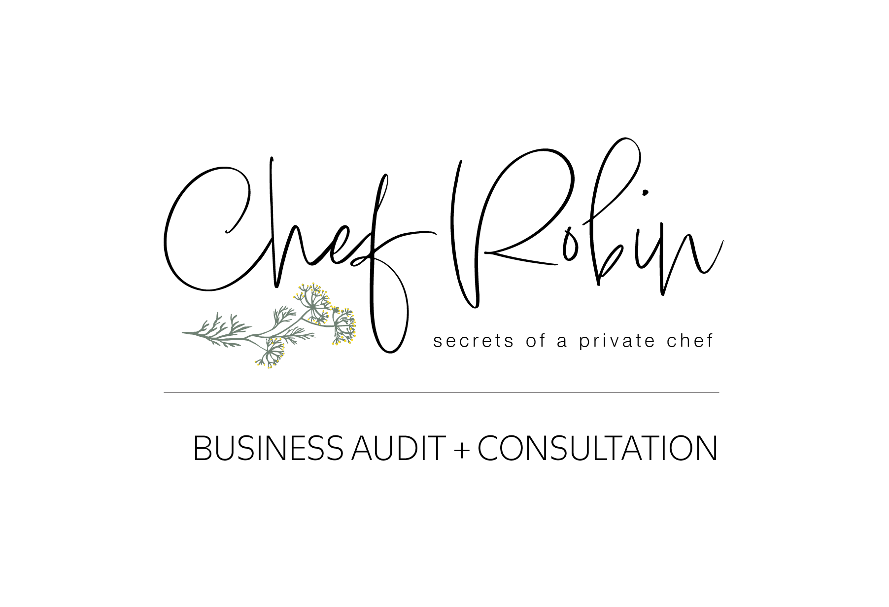 Business Audit + Consultation