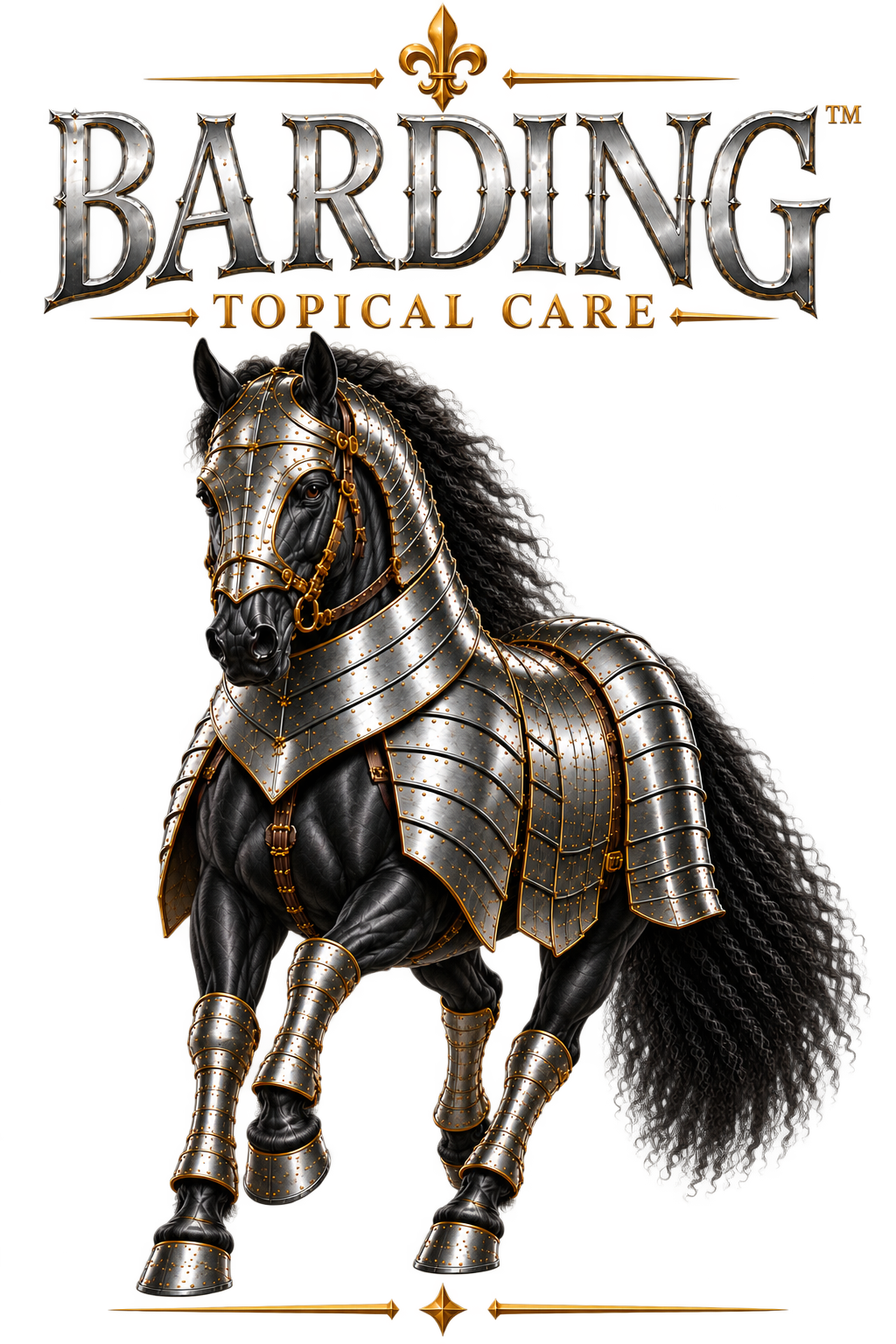 Tech n Tack's Barding landing page