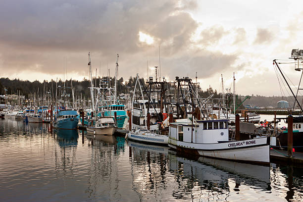 Marina with boats docked on calm water during cloudy weather.
