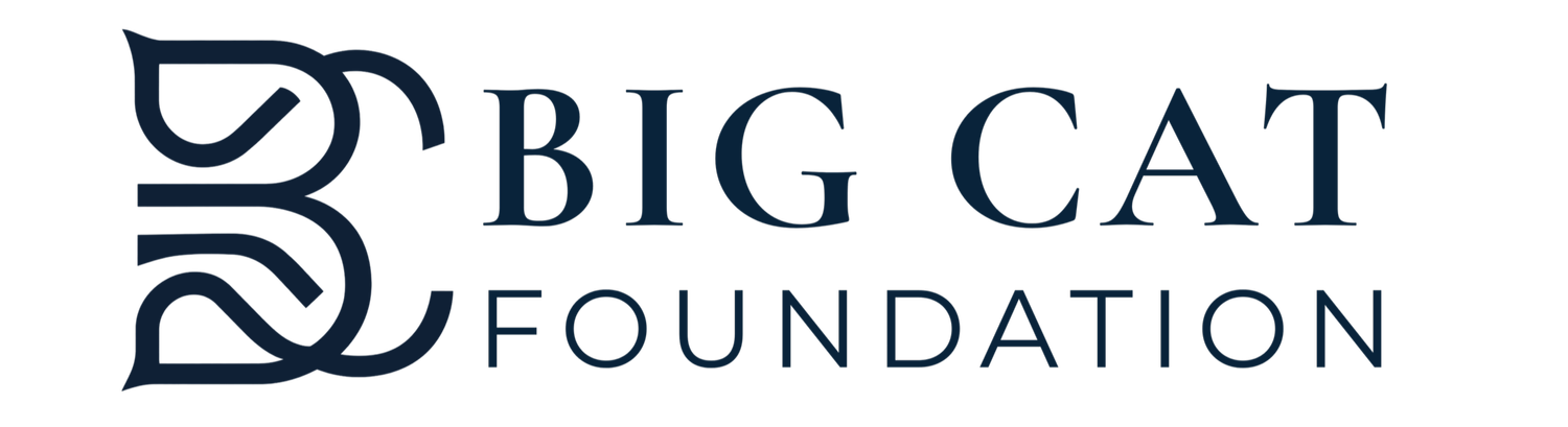 Big Cat Foundation