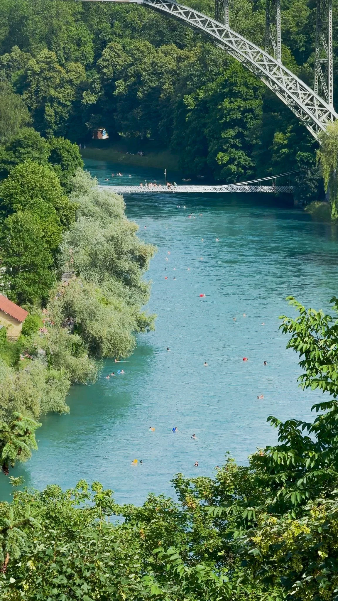 Blick auf die Aare mit zahlreichen Schwimmer:innen, umgeben von grünen Bäumen und Vegetation. Die Kornhausbrücke spannt sich über den Fluss.