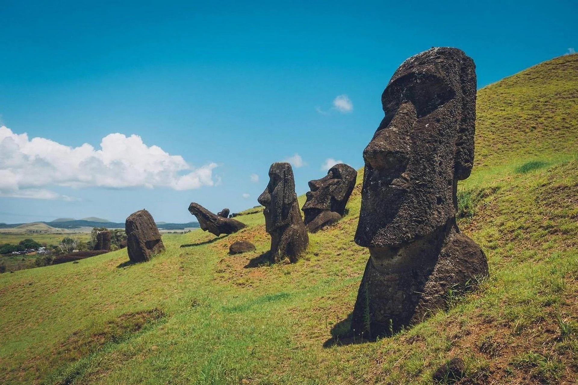 Rude Comments, Real Insights: The Value of Anthropology in the Workplace