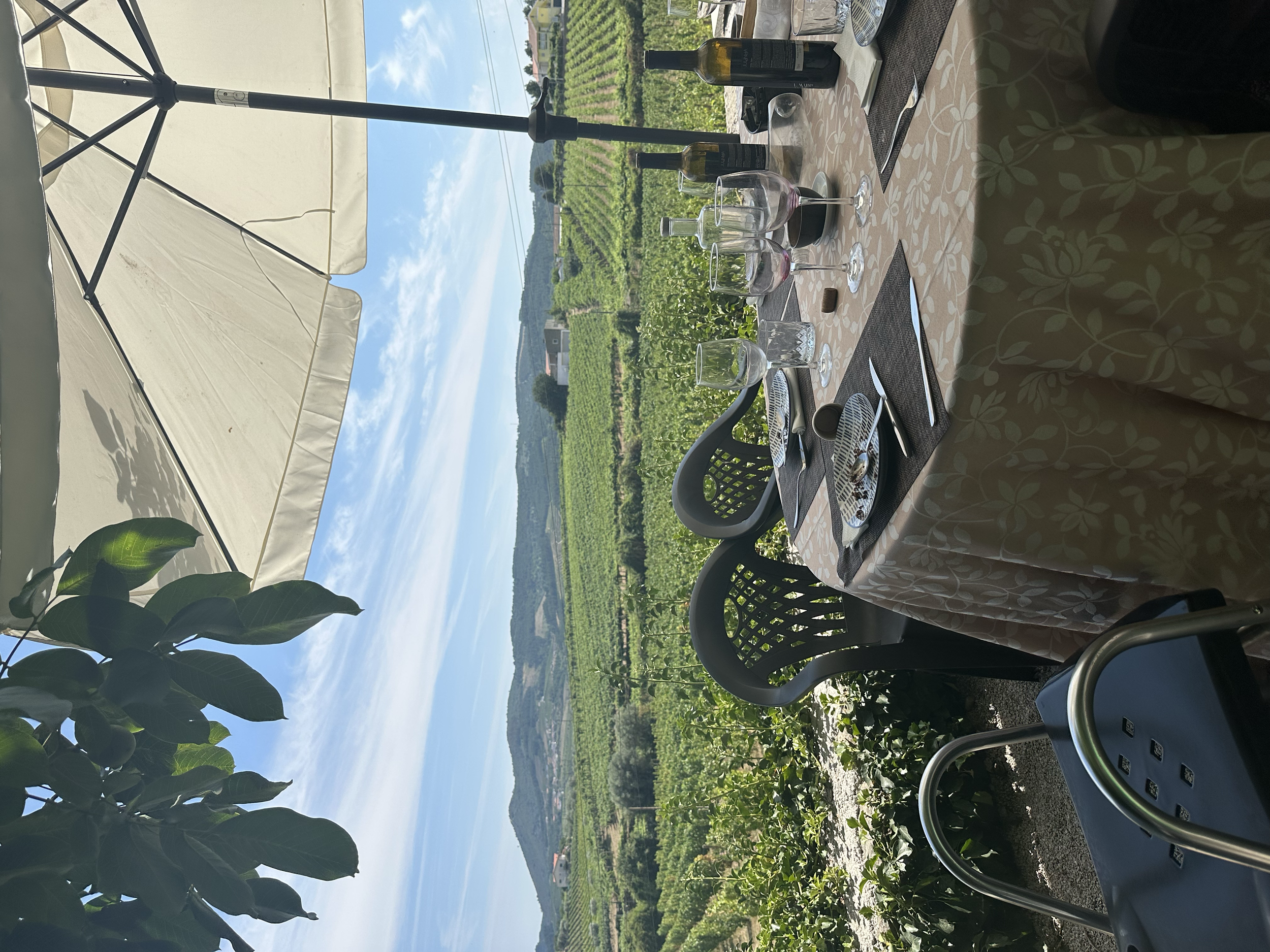 A round dining table set outdoors with a beige floral tablecloth, wine glasses, plates, silverware, bottles of wine, and an umbrella providing shade. In the background, there is a vineyard with green rows of grapevines and a distant hill with scatter