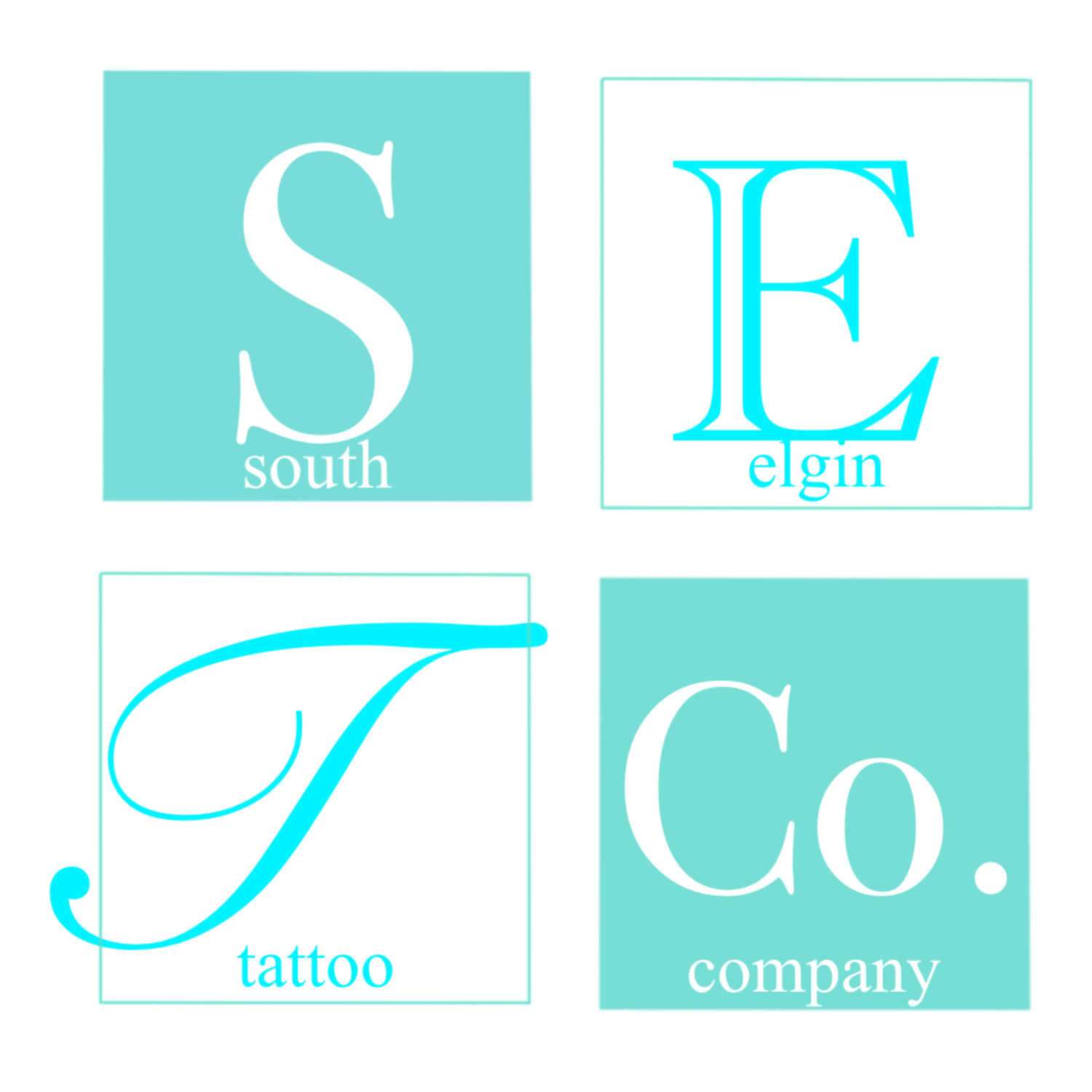The South Elgin Tattoo Company
