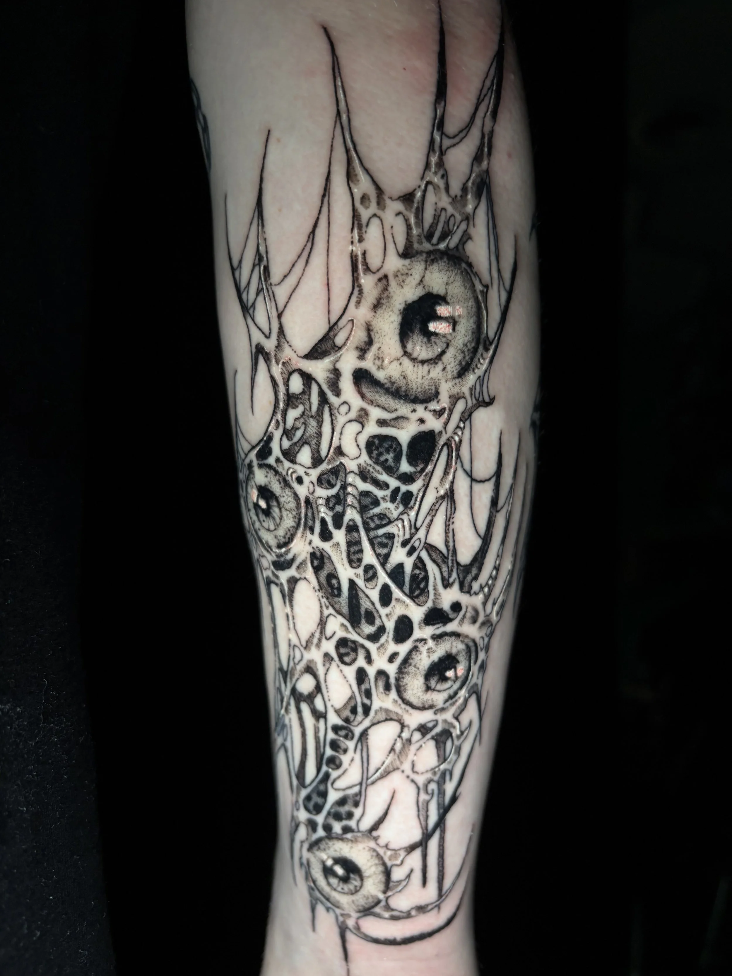 A detailed black and gray tattoo of a snake coiled around a skull on a person's arm.