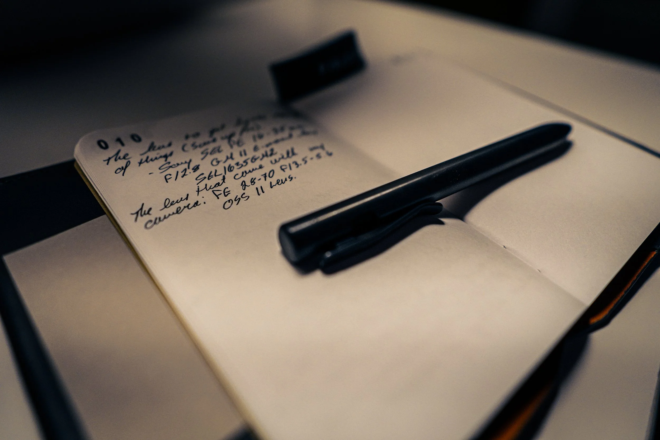 Evening Field Notes