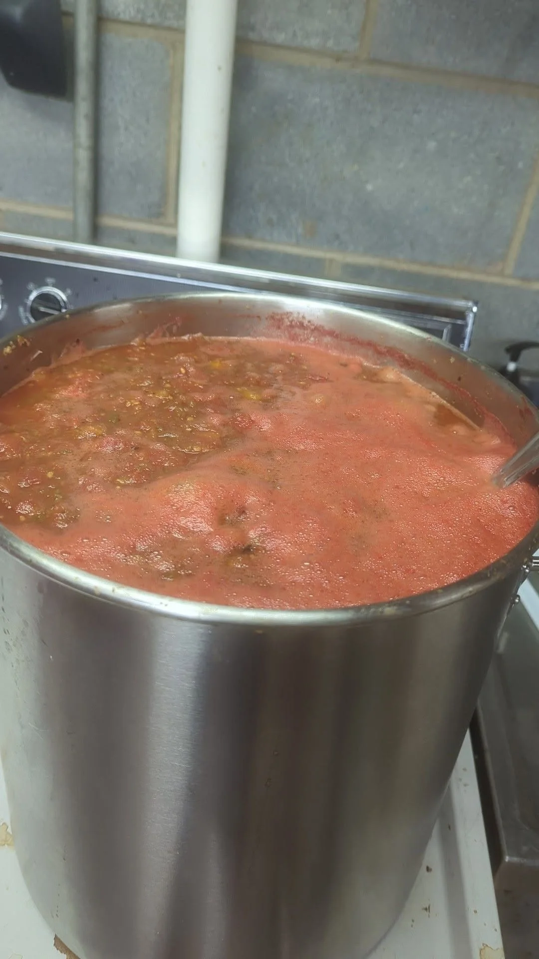 salsa1.jpg