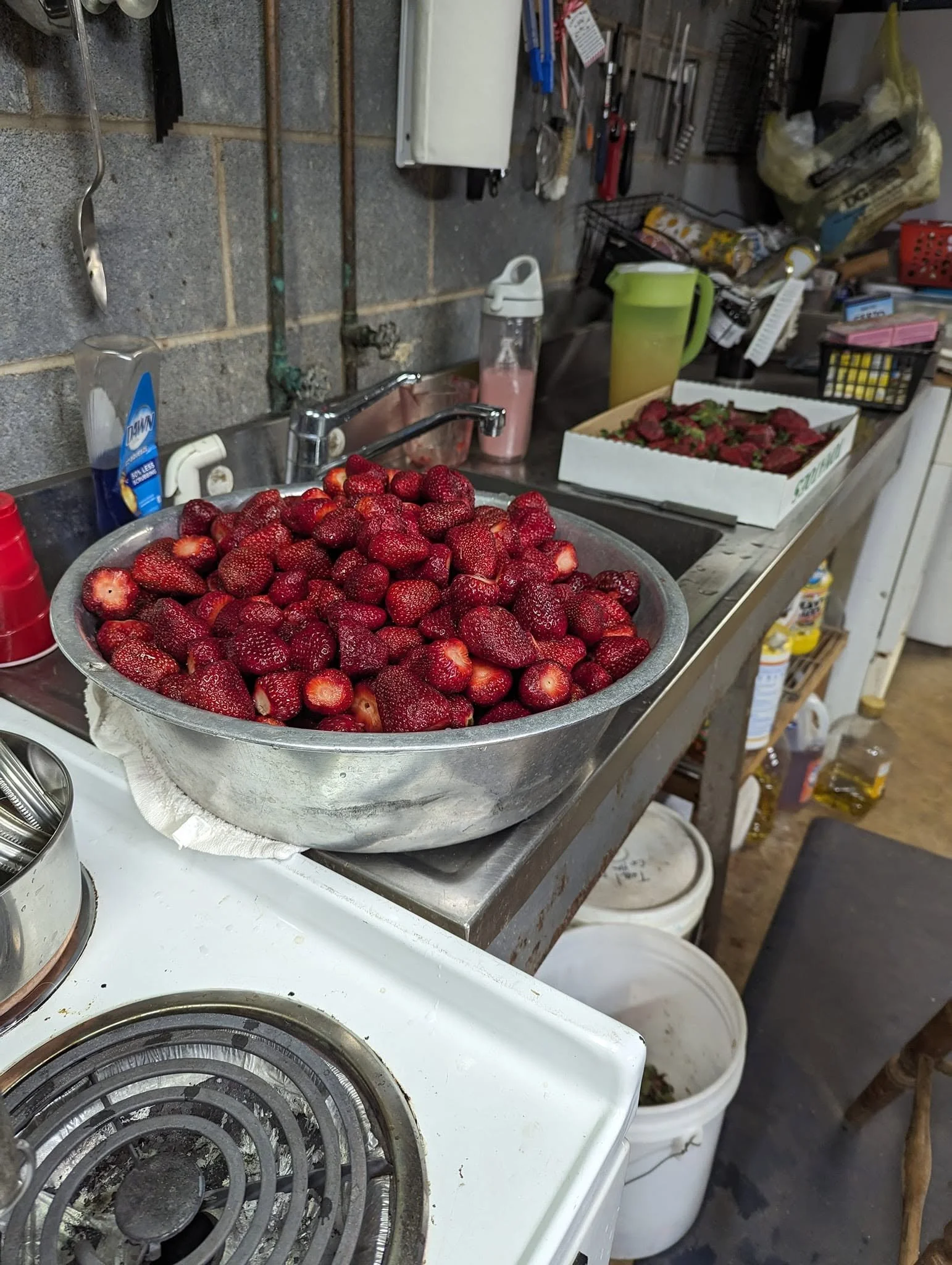 strawberry2.jpg