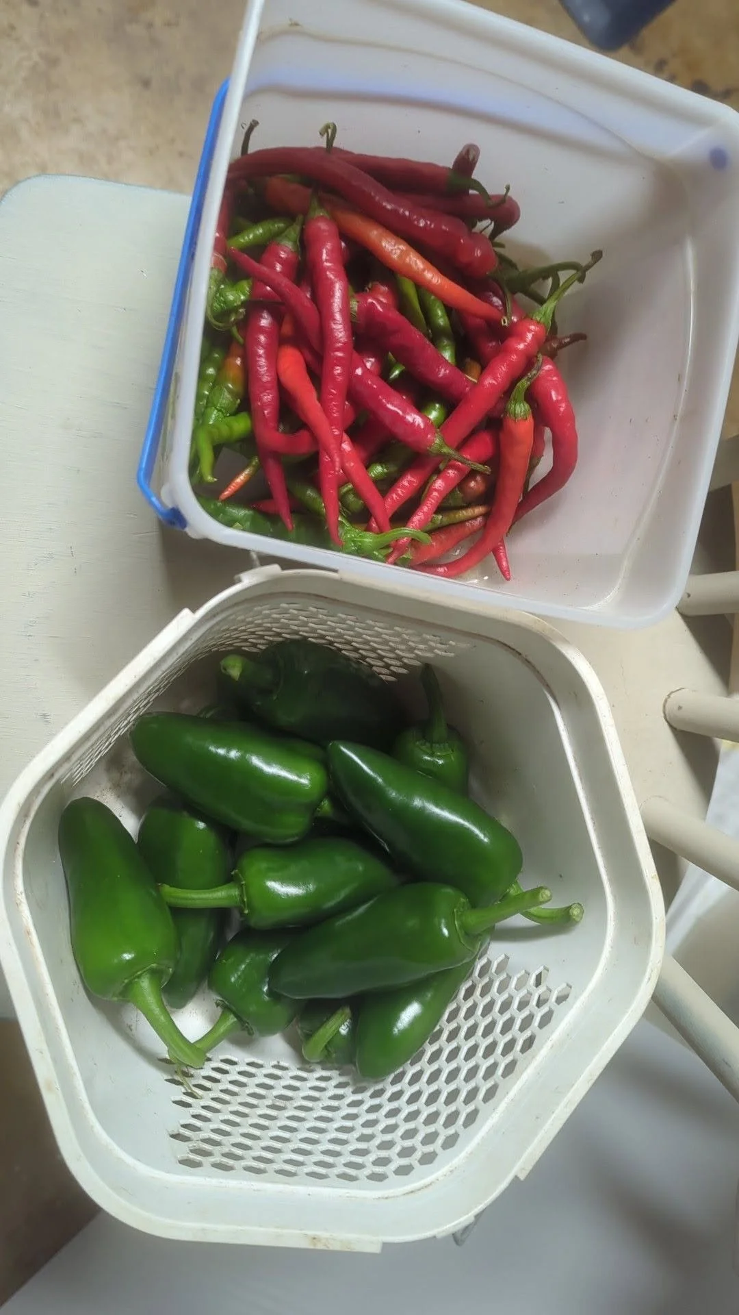 peppers2.jpg