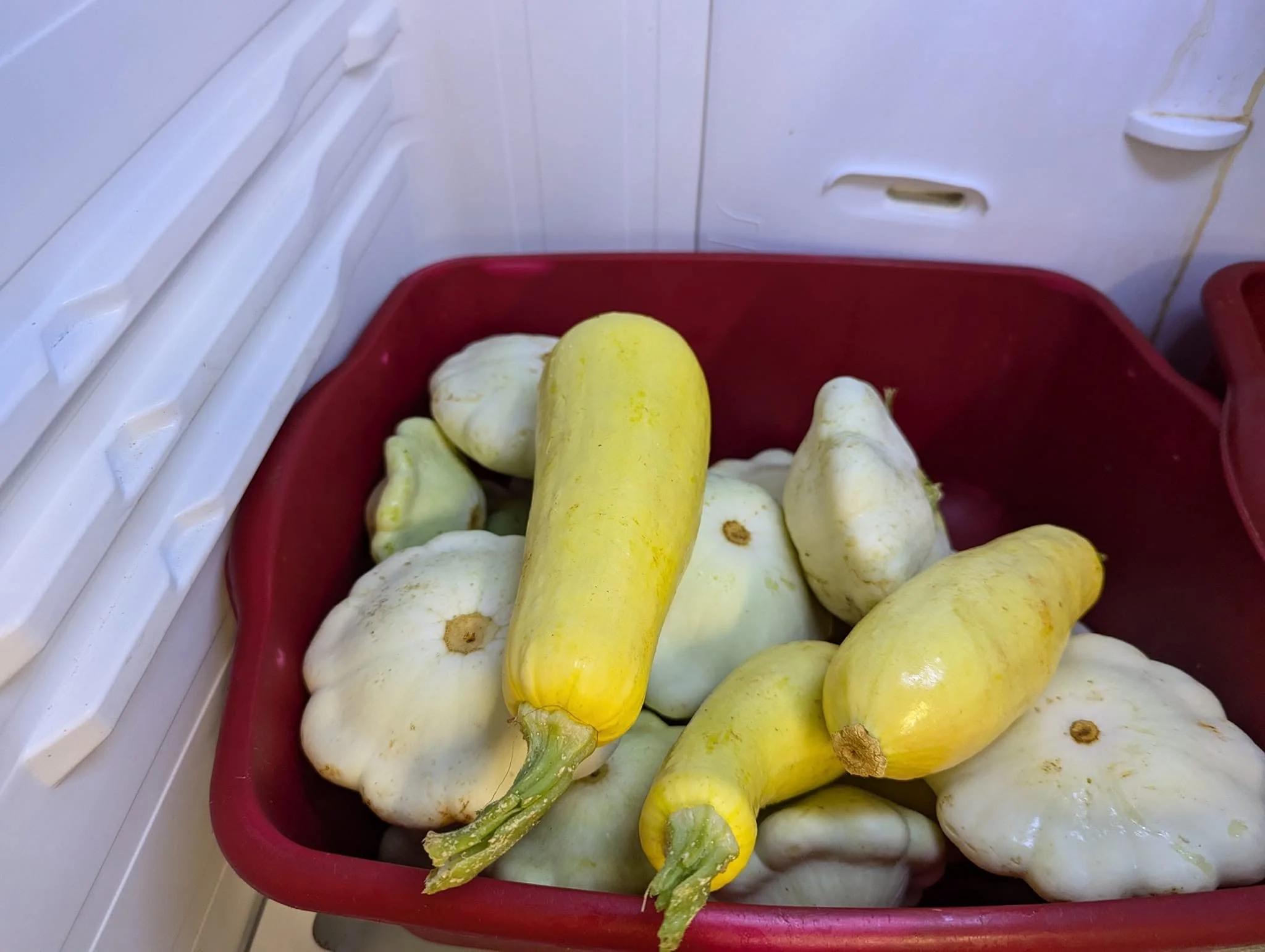 squash2.jpg